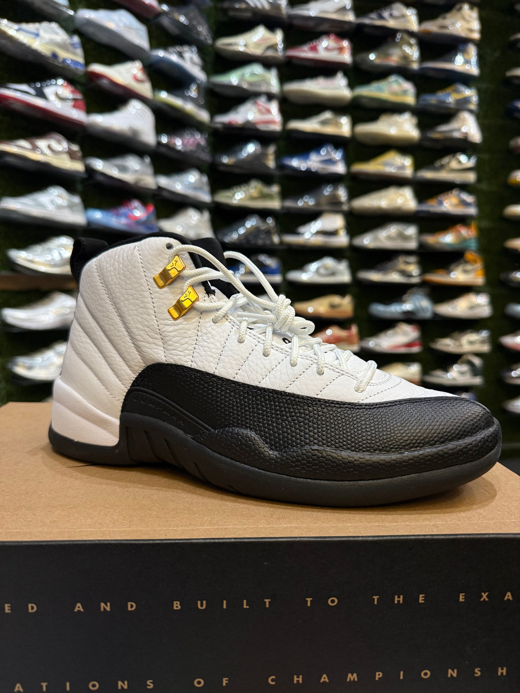 Jordan 12 taxi