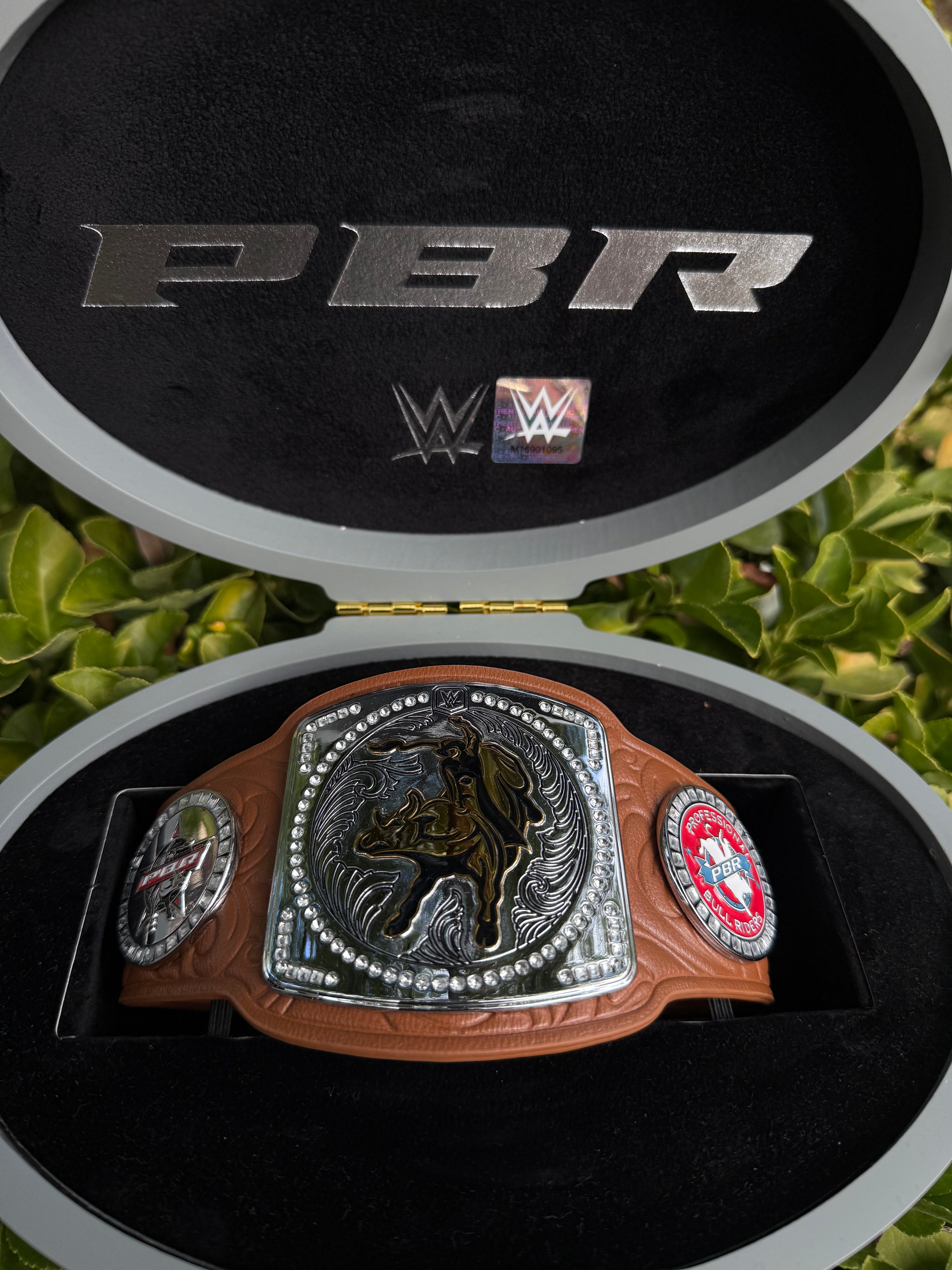 WWE PBR small belt