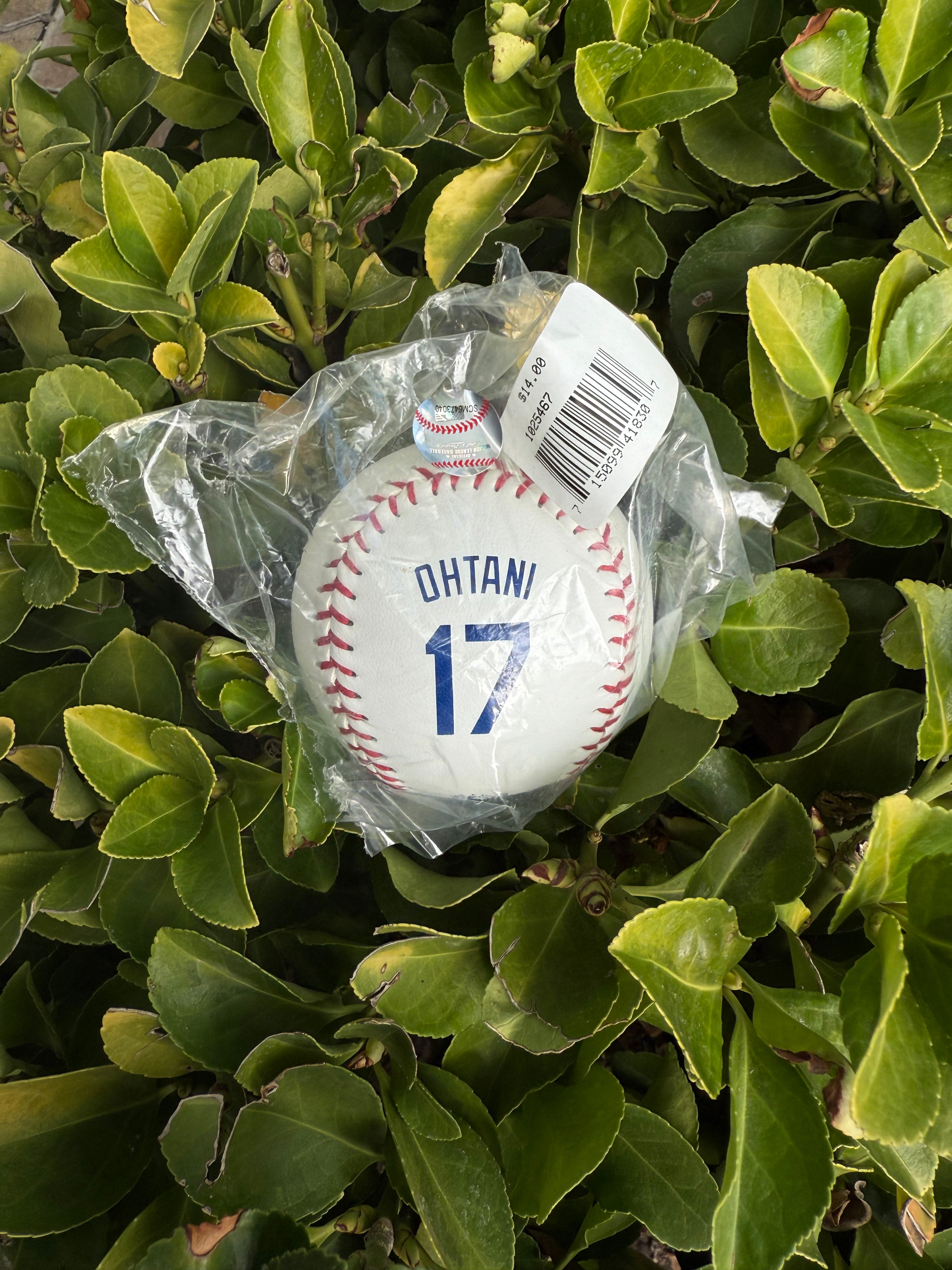 Othani dodgers baseball