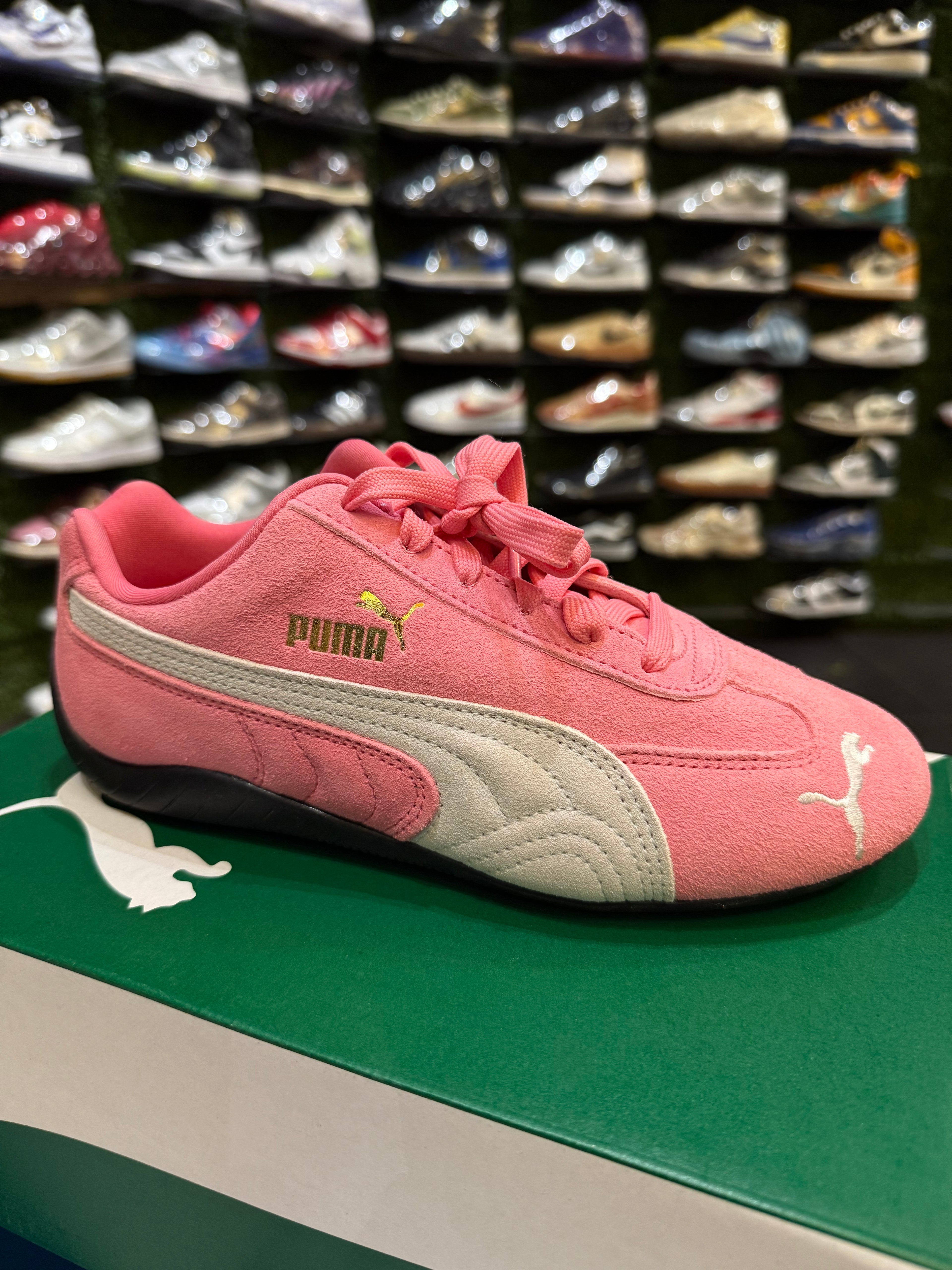 Puma speed cat