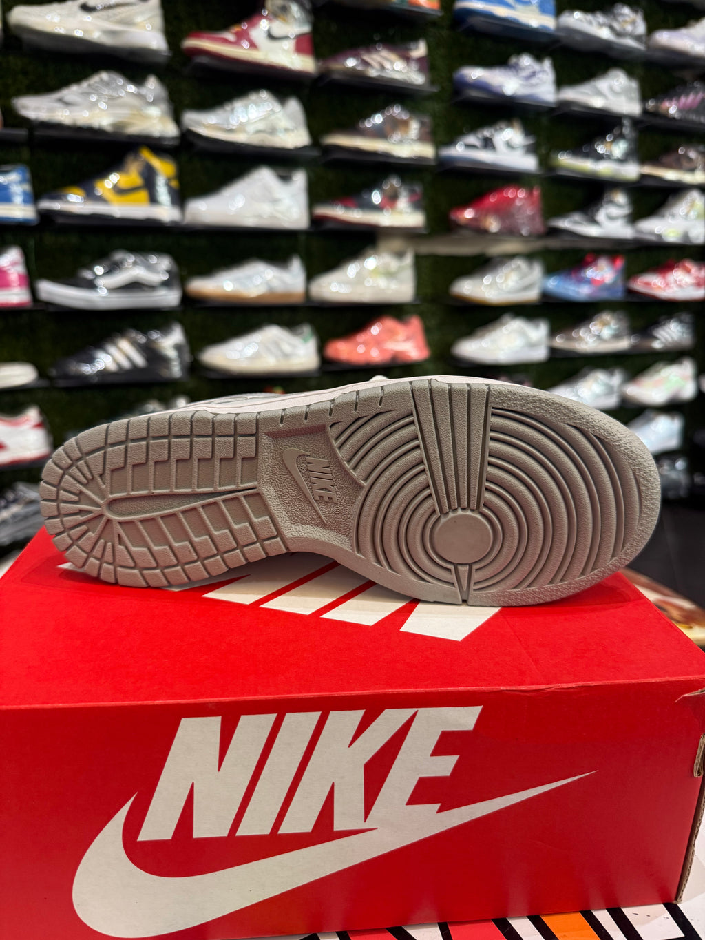 Dunk low two tone