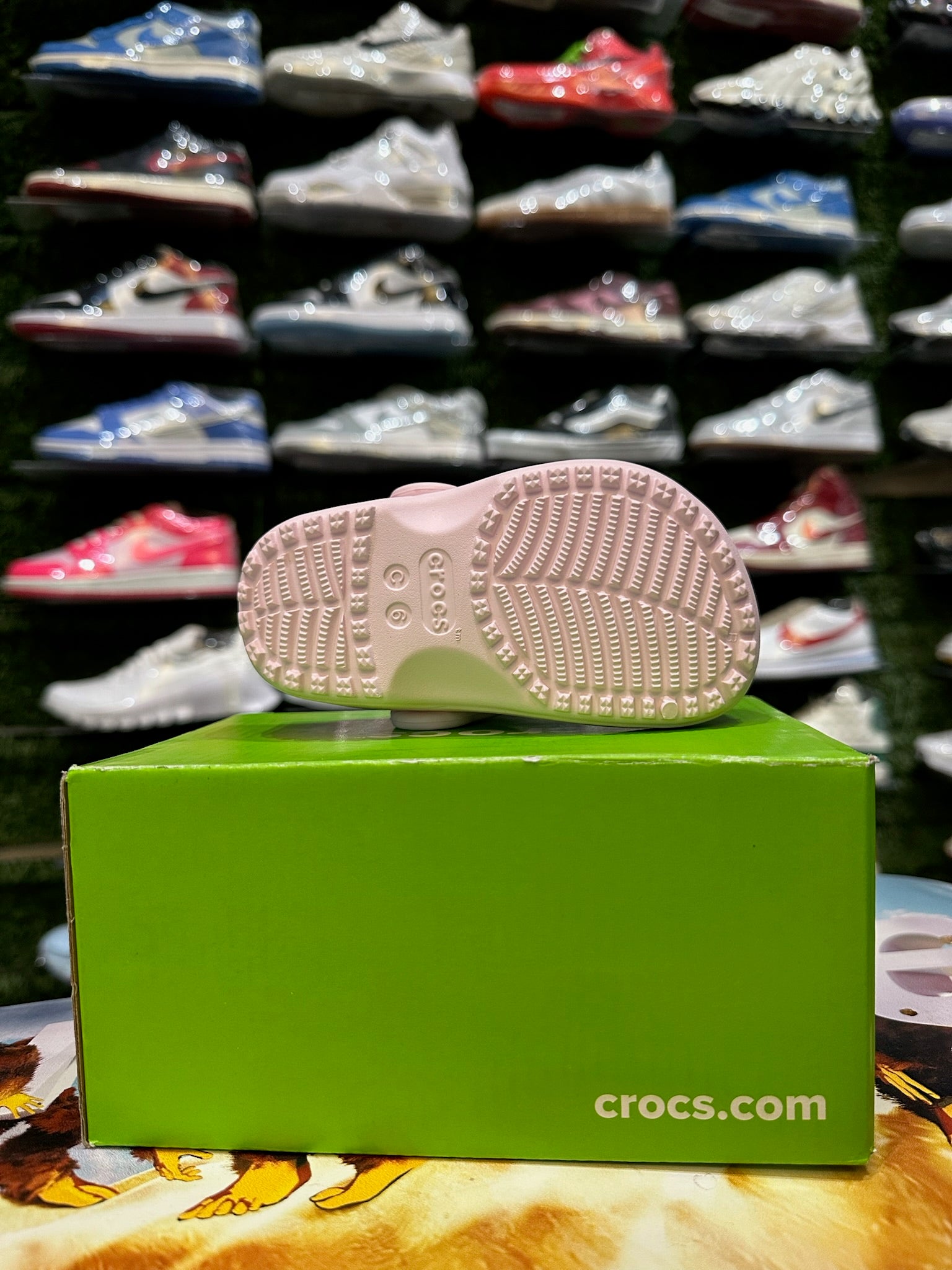 Flower croc