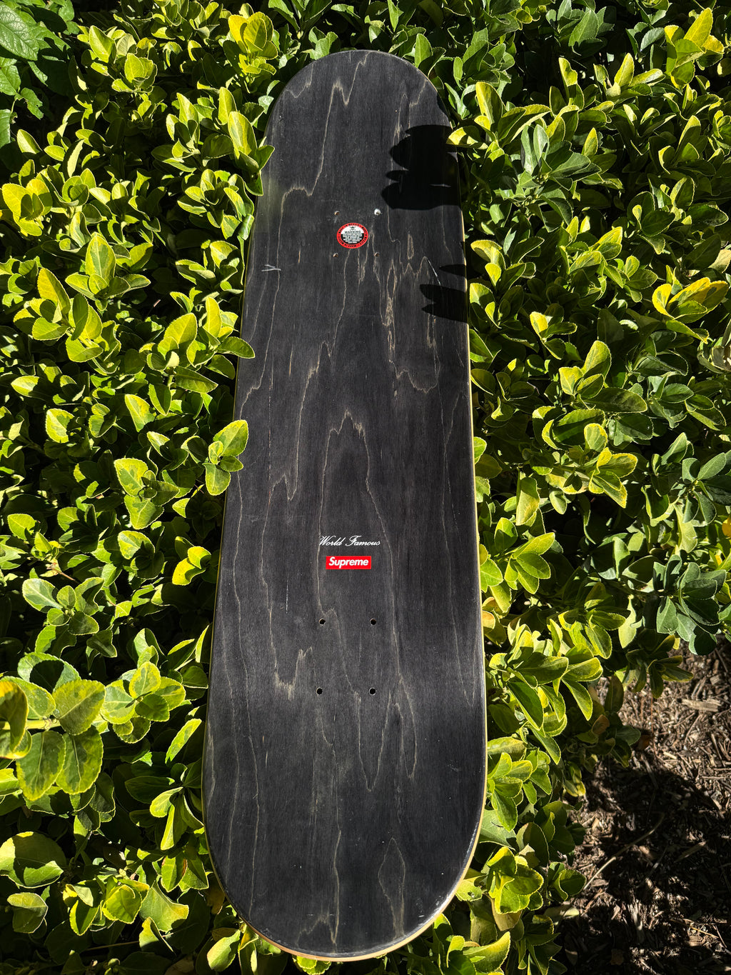 Supreme distorted logo skateboard