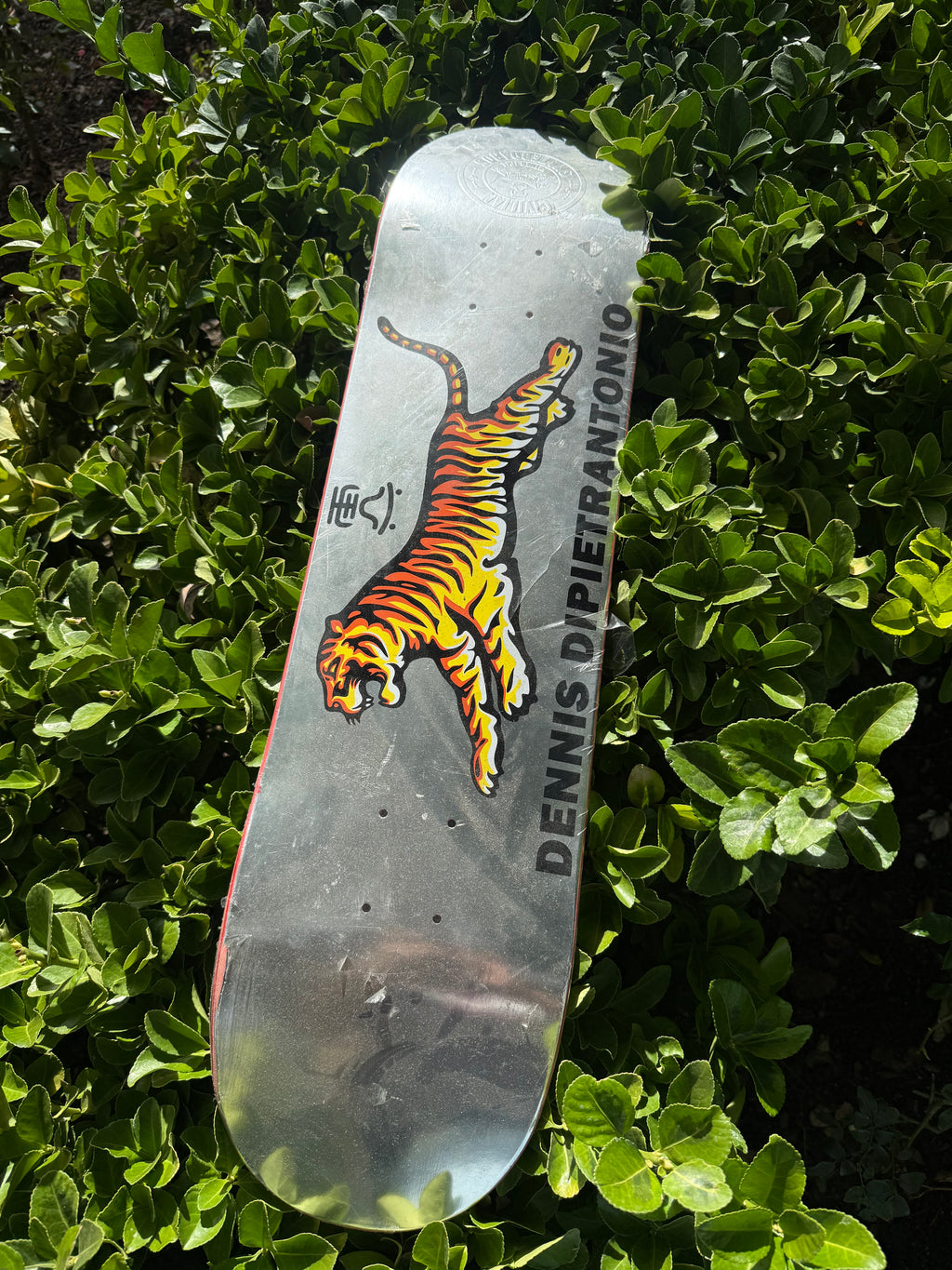 Dennis dipietrantonio skateboard