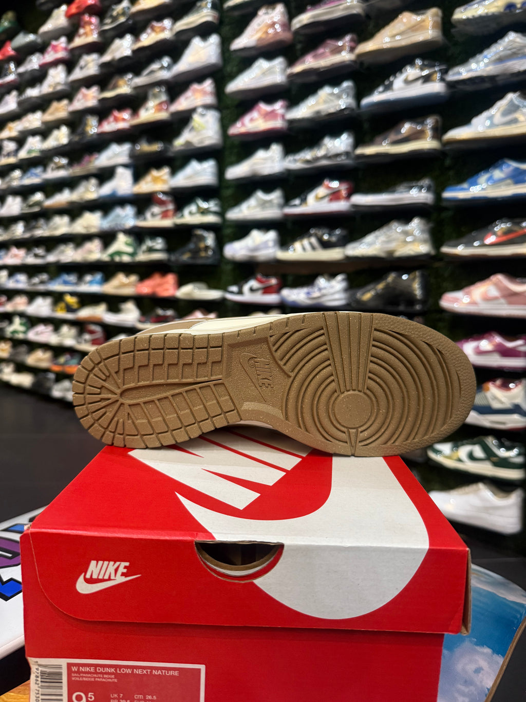 Dunk low “ Sail parachute “