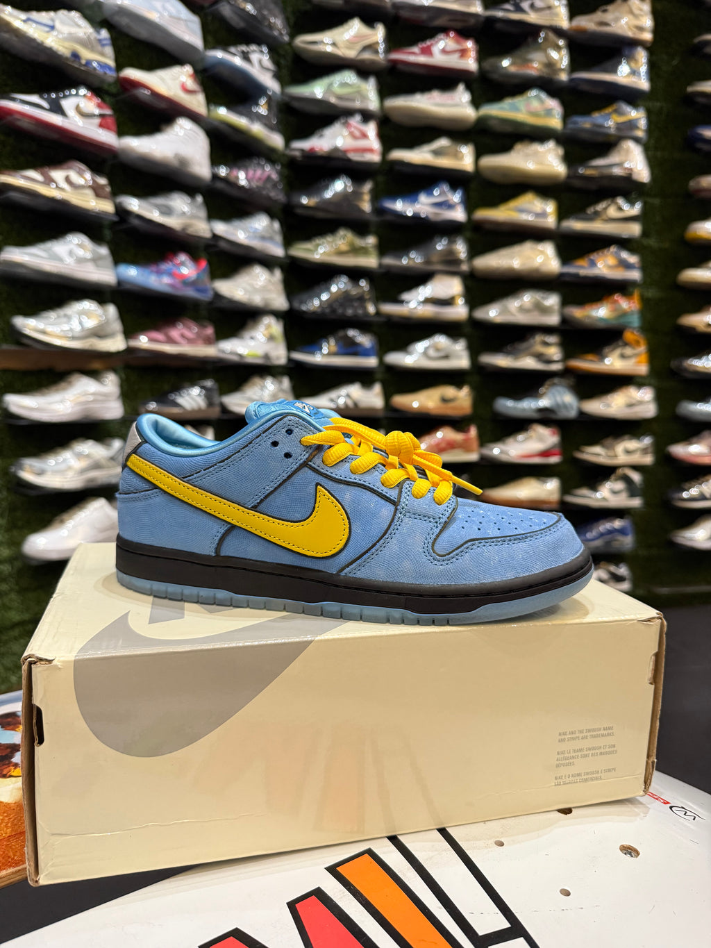 Dunk low bubbles