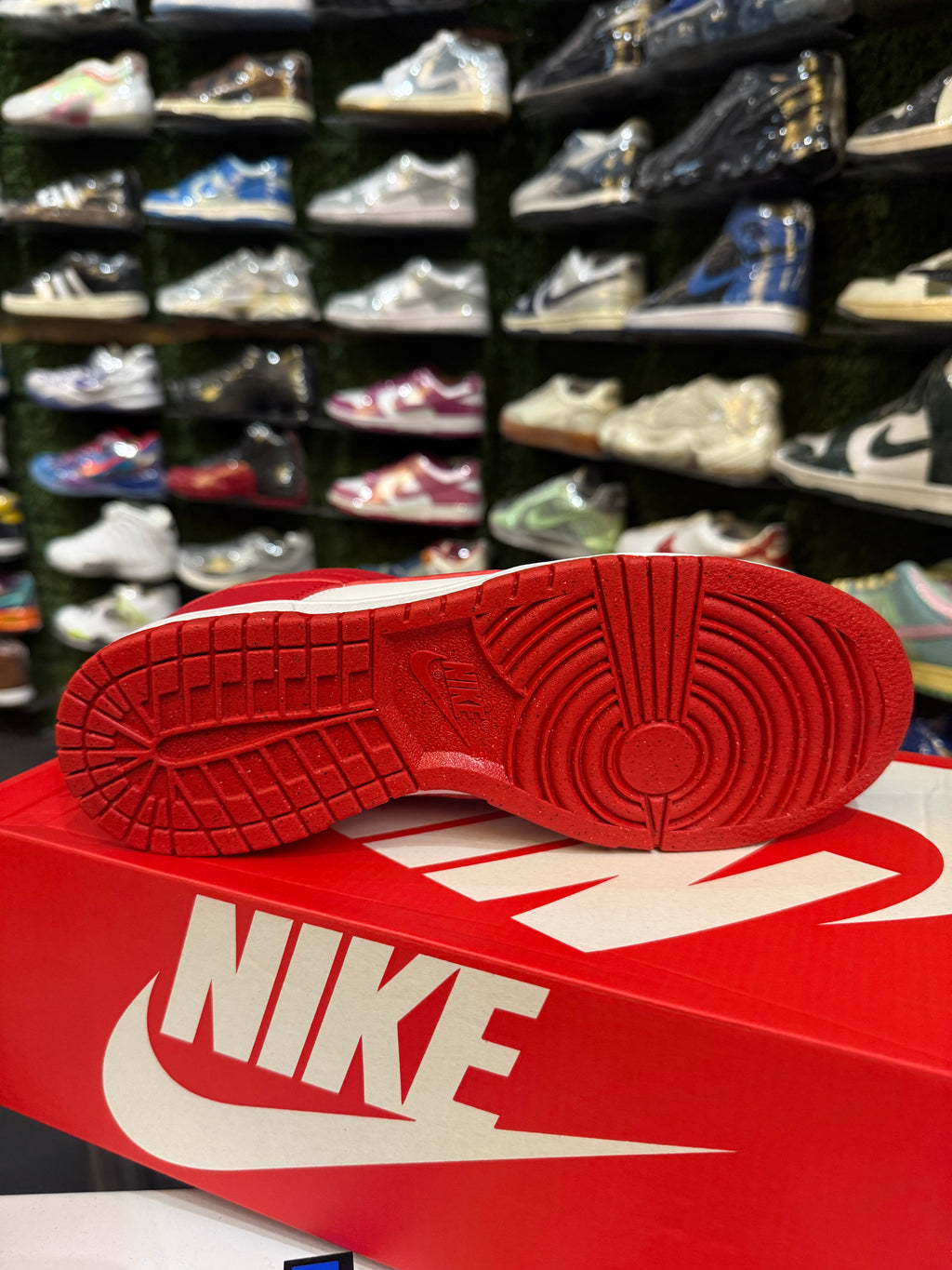 Dunk low next nature Saint John