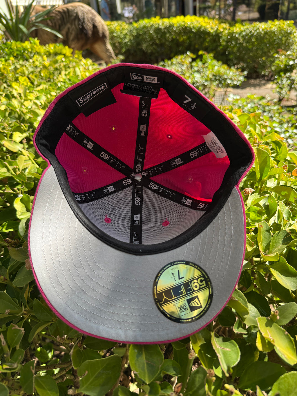 Supreme pink breast cancer fitted