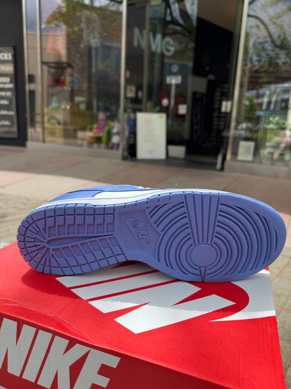 Dunk low binary blue