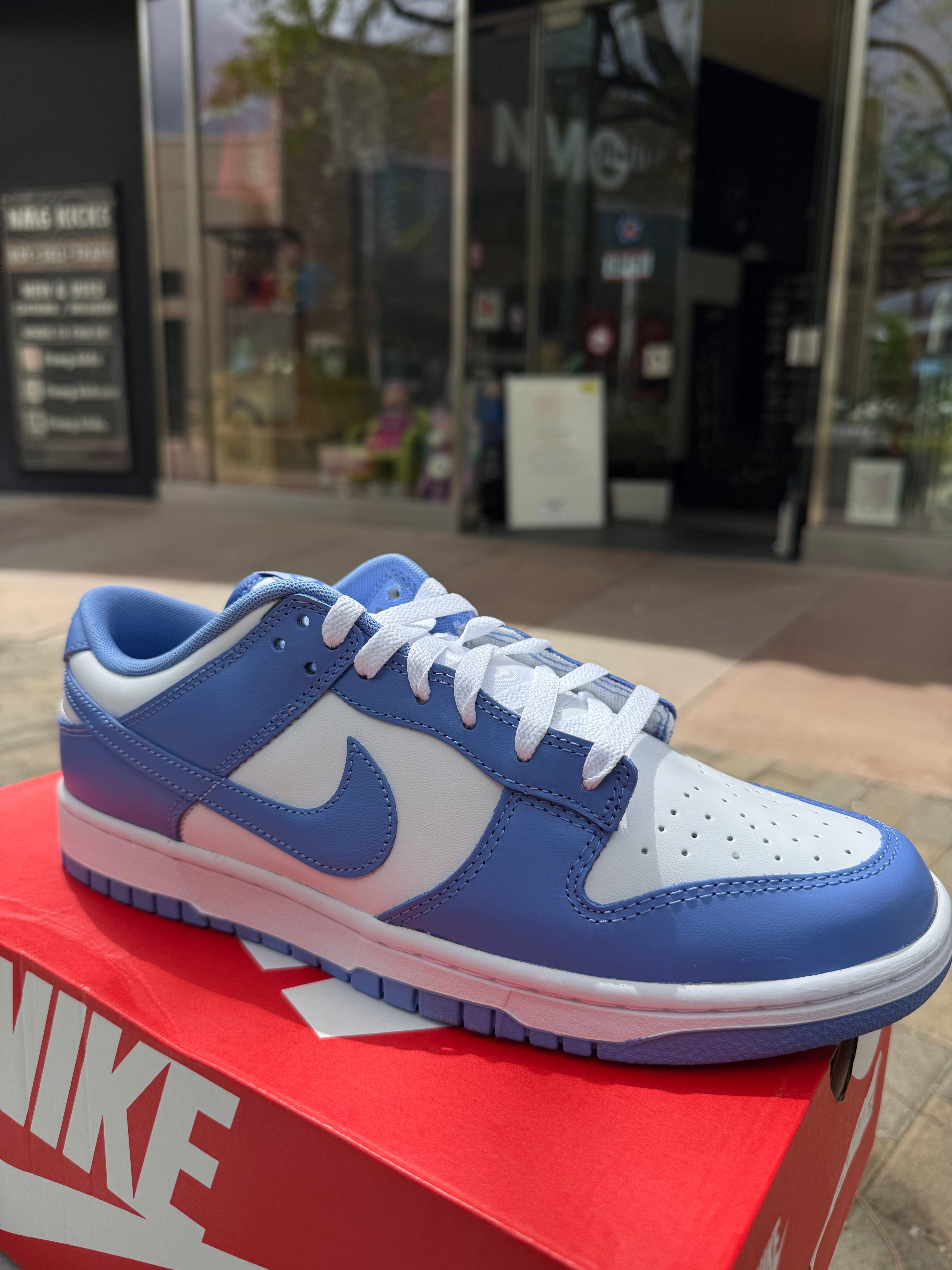Dunk low binary blue