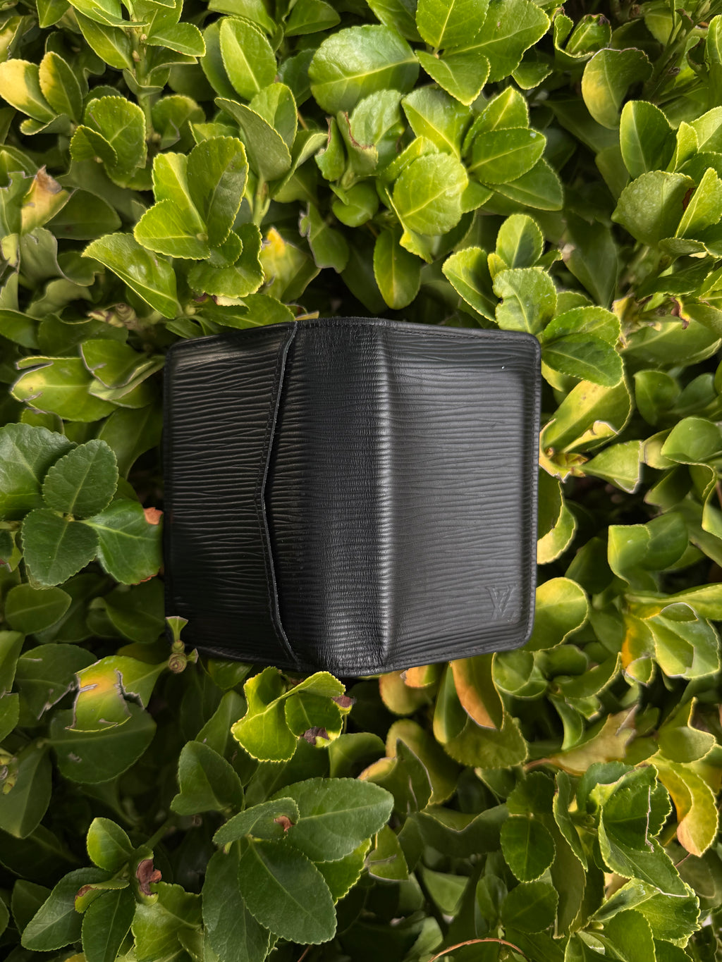 Louis Vuitton wallet