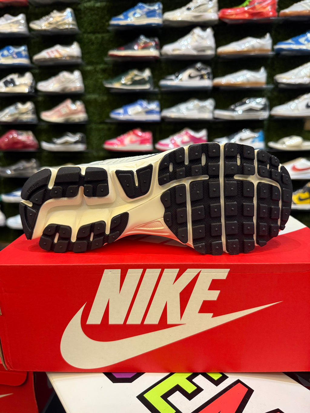 Nike zoom dust
