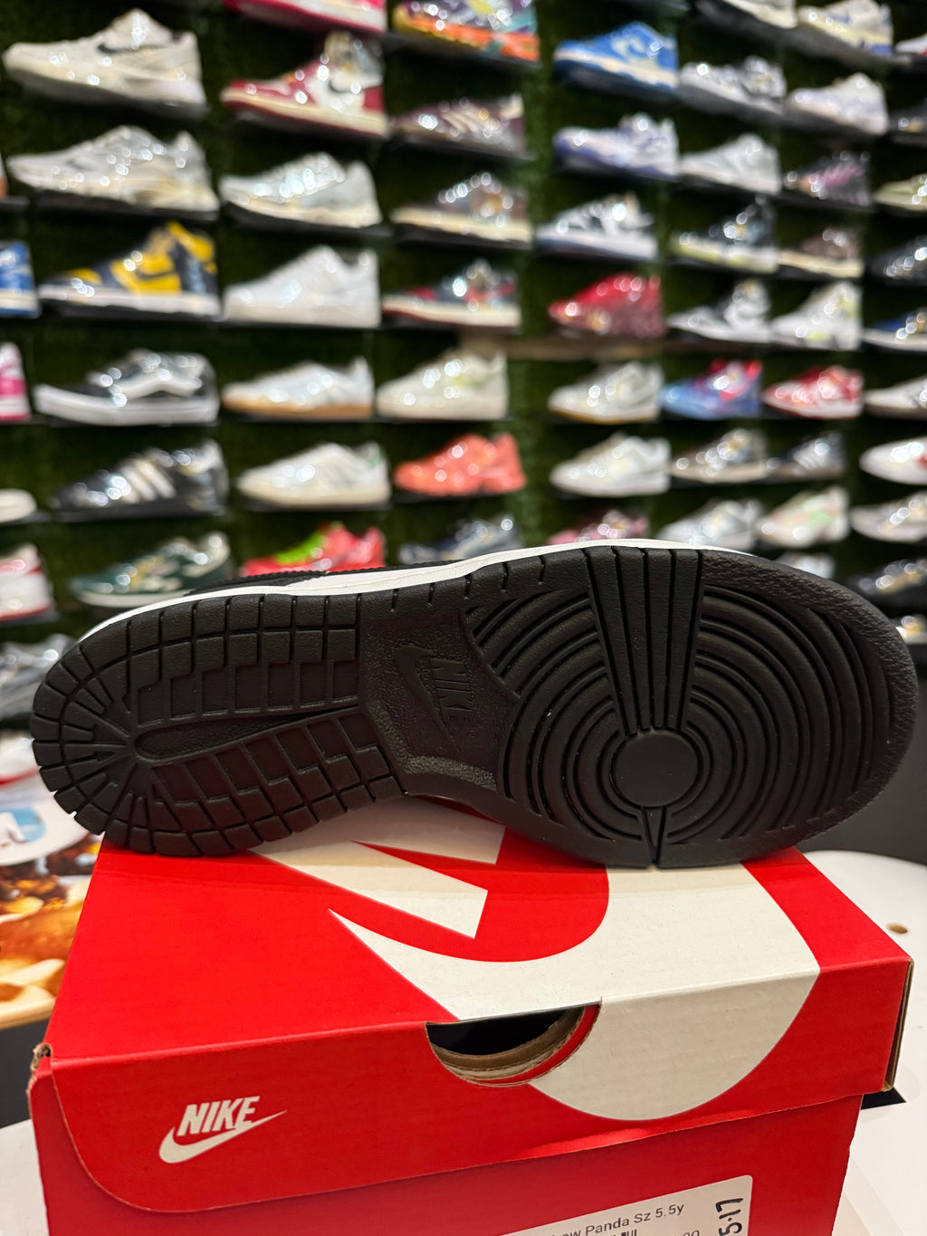 Panda dunk low gs