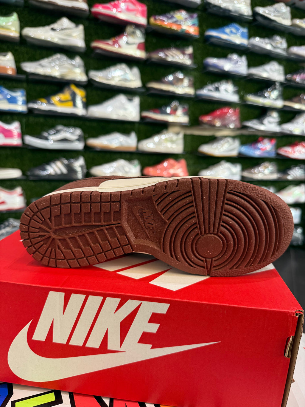 Dunk low sepia