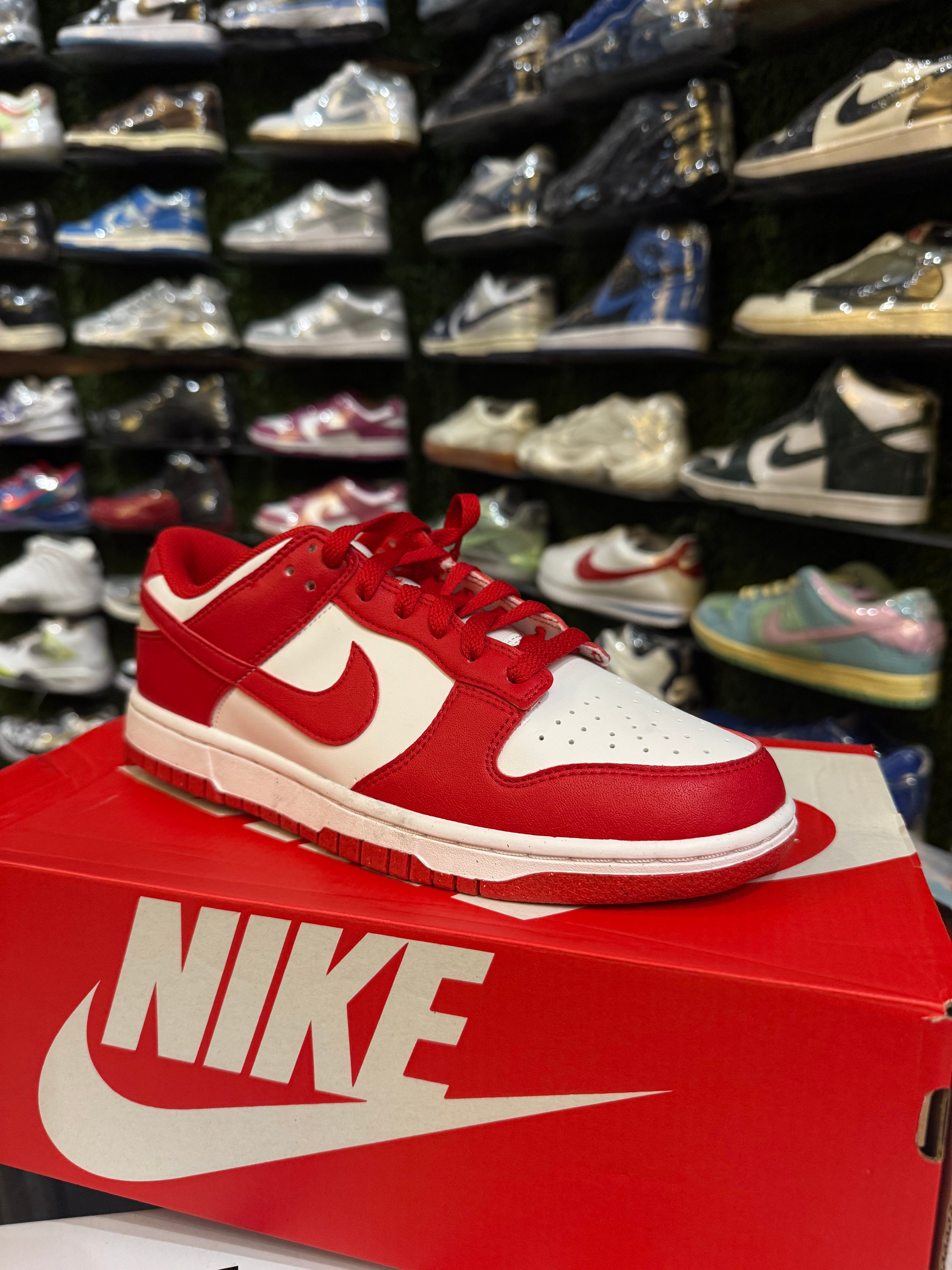 Dunk low next nature Saint John