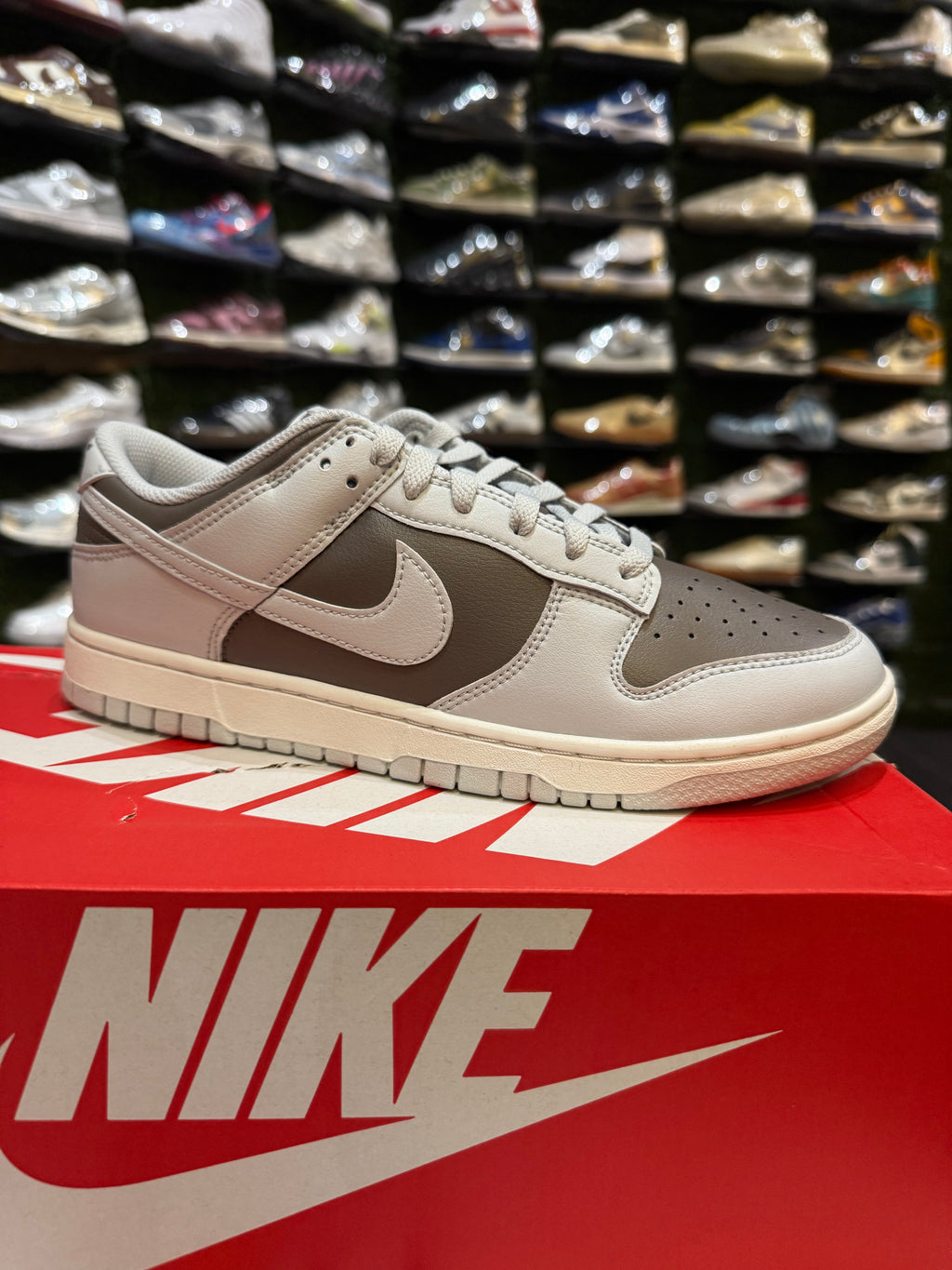 Dunk low cave stone