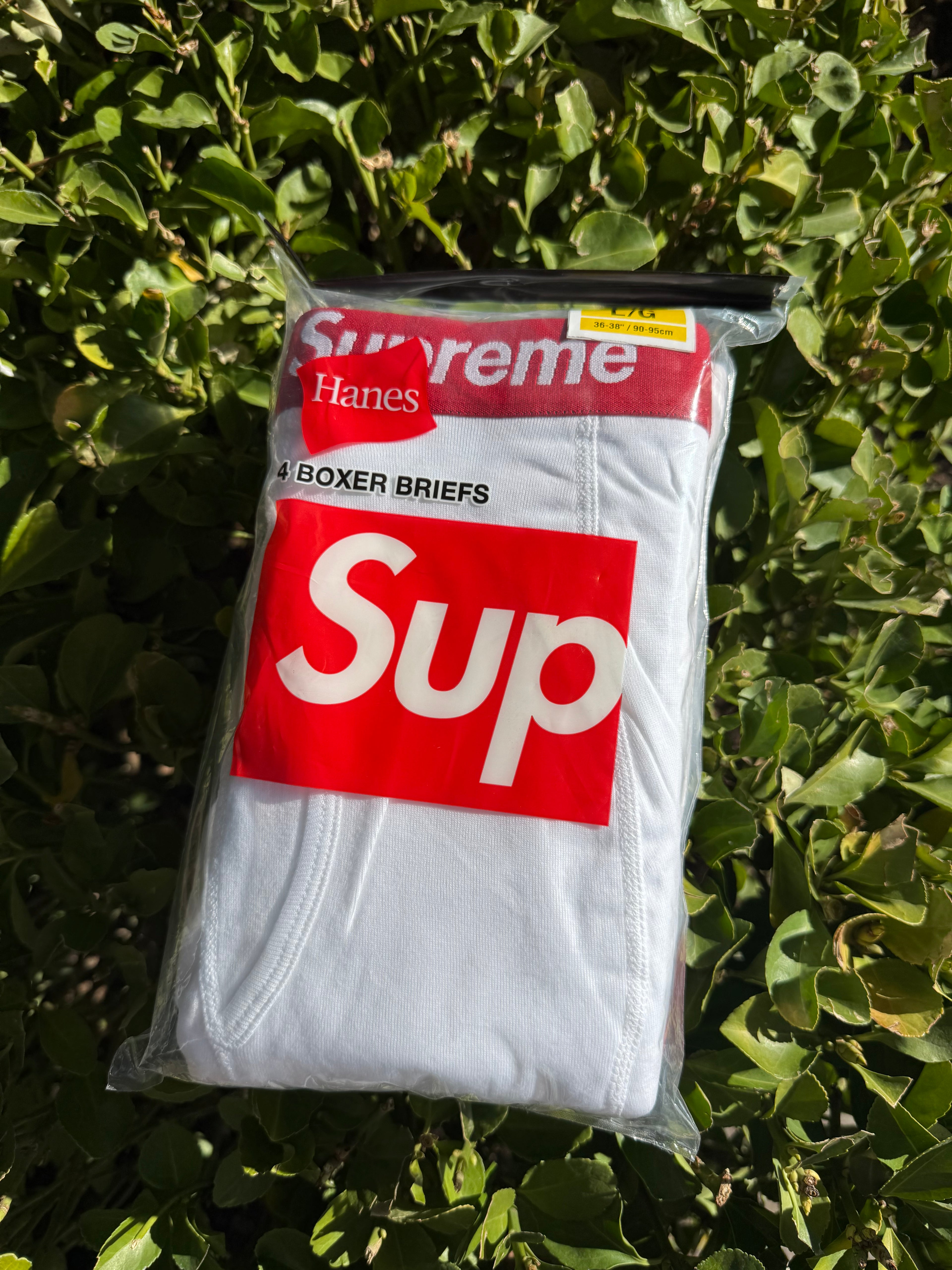 Supreme white underwear