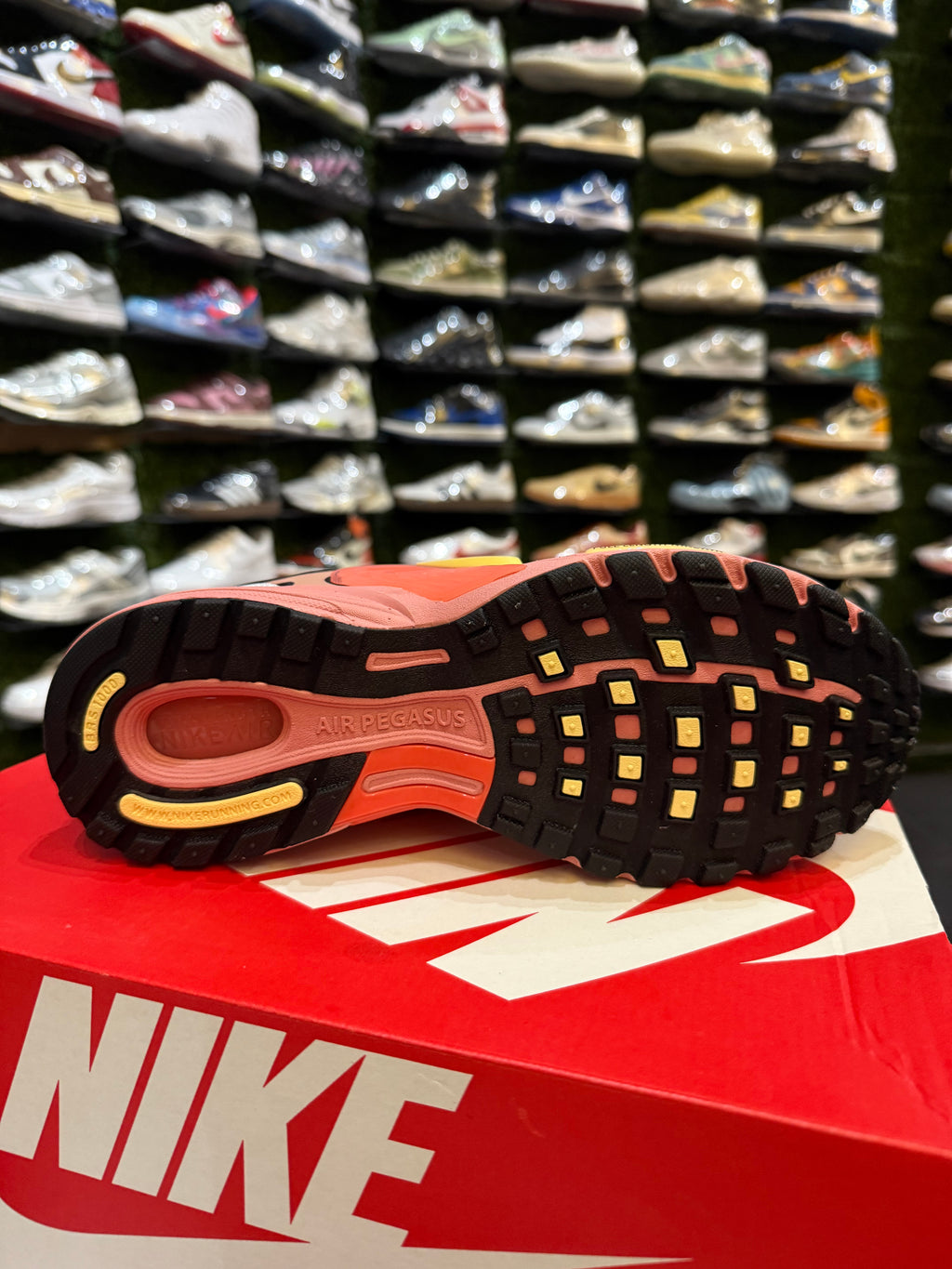 Nike Peagasus wave