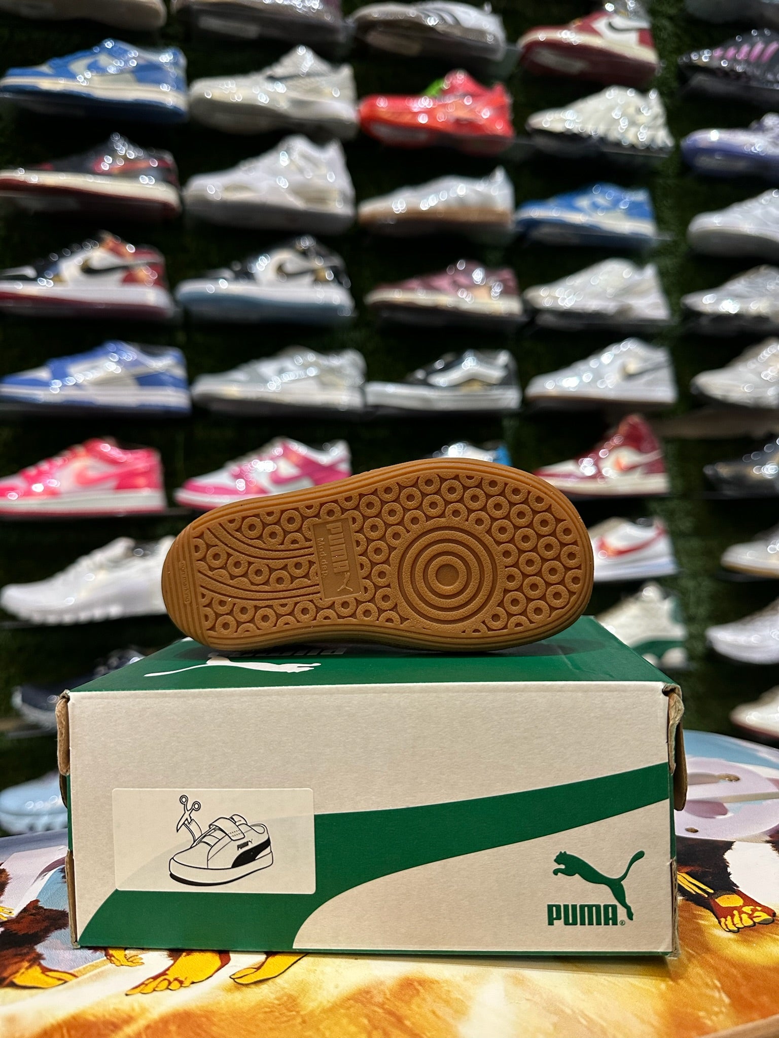 Puma palermo