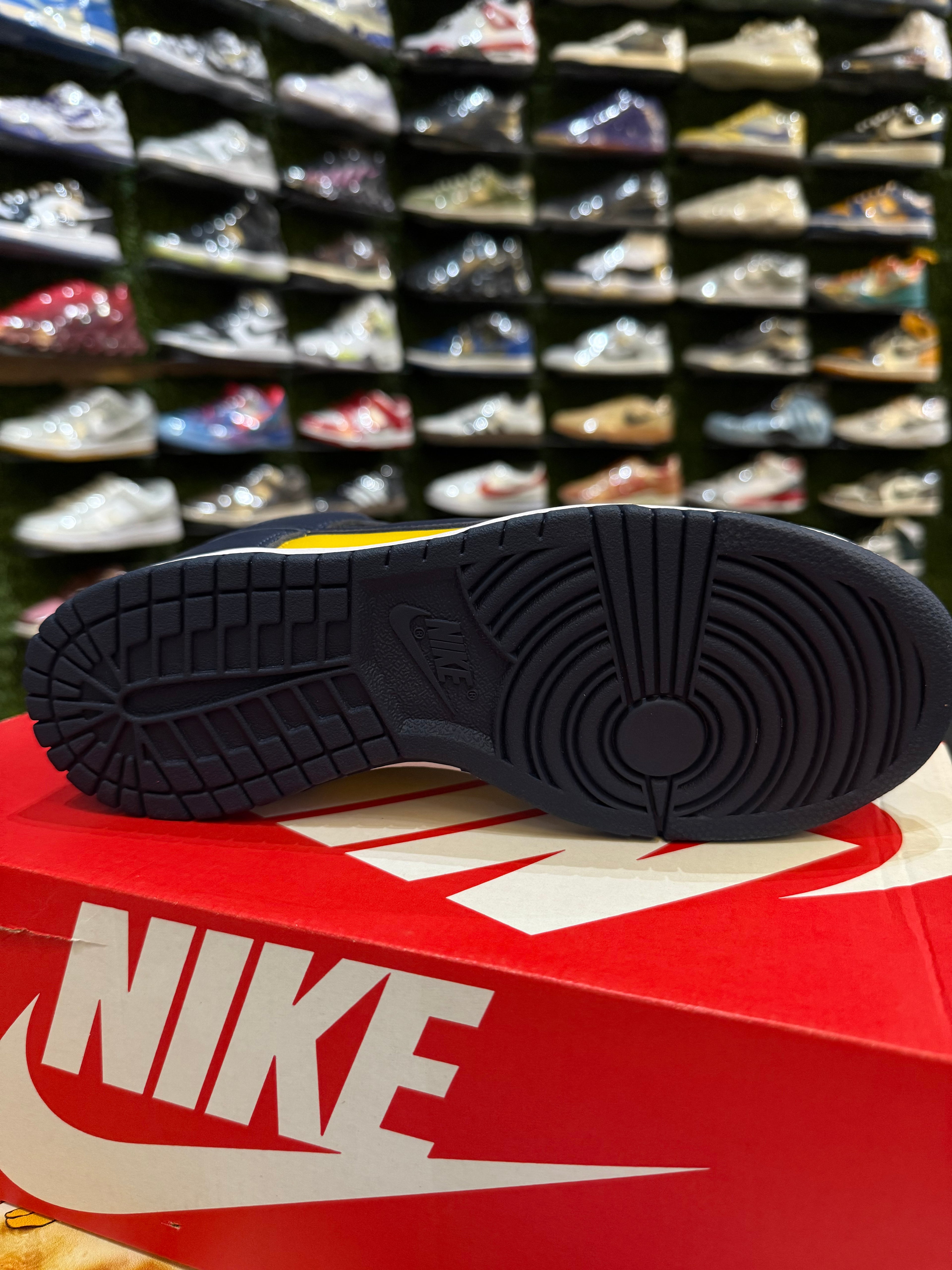 Dunk high Michigan