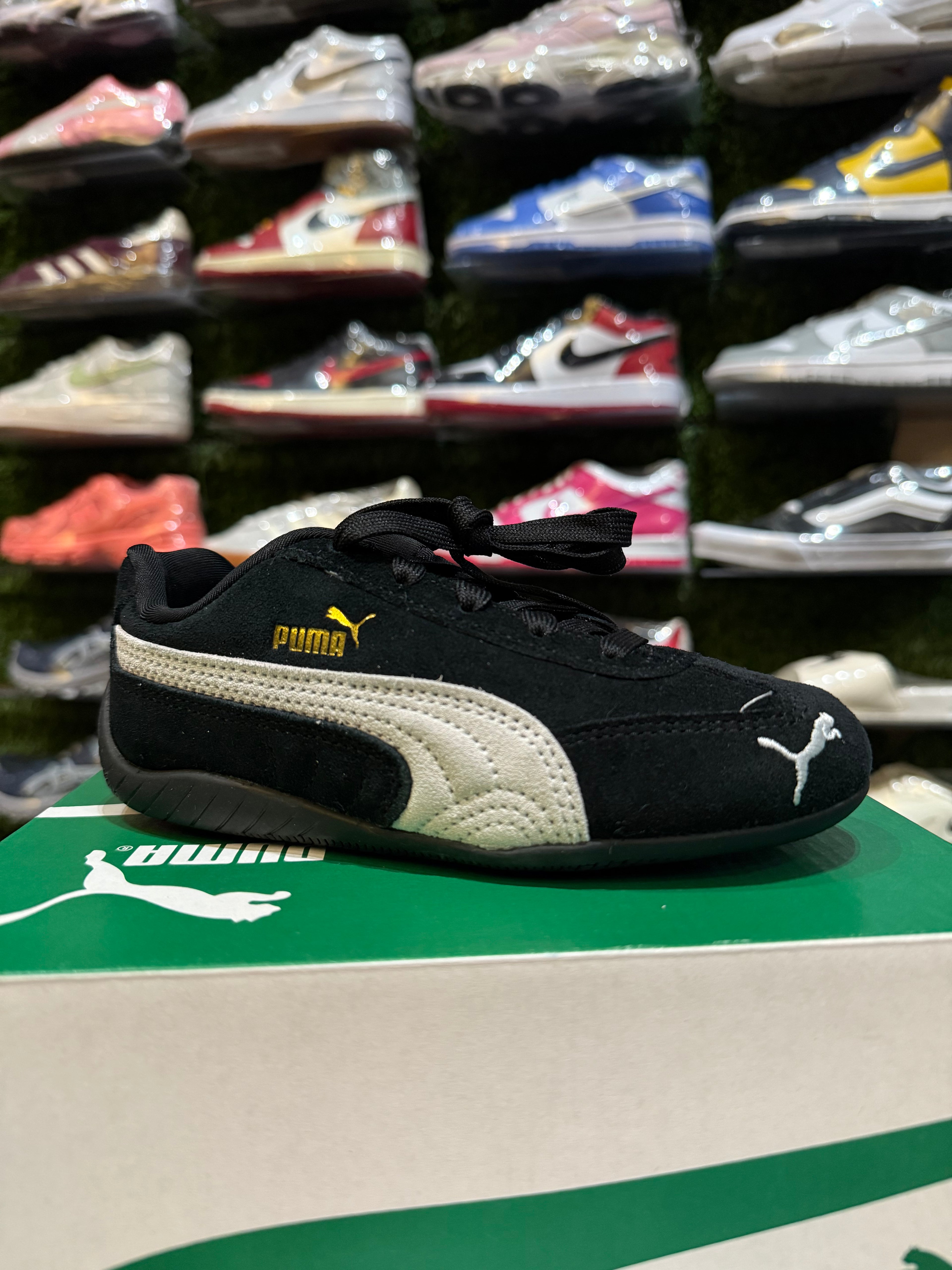 Puma speed cat