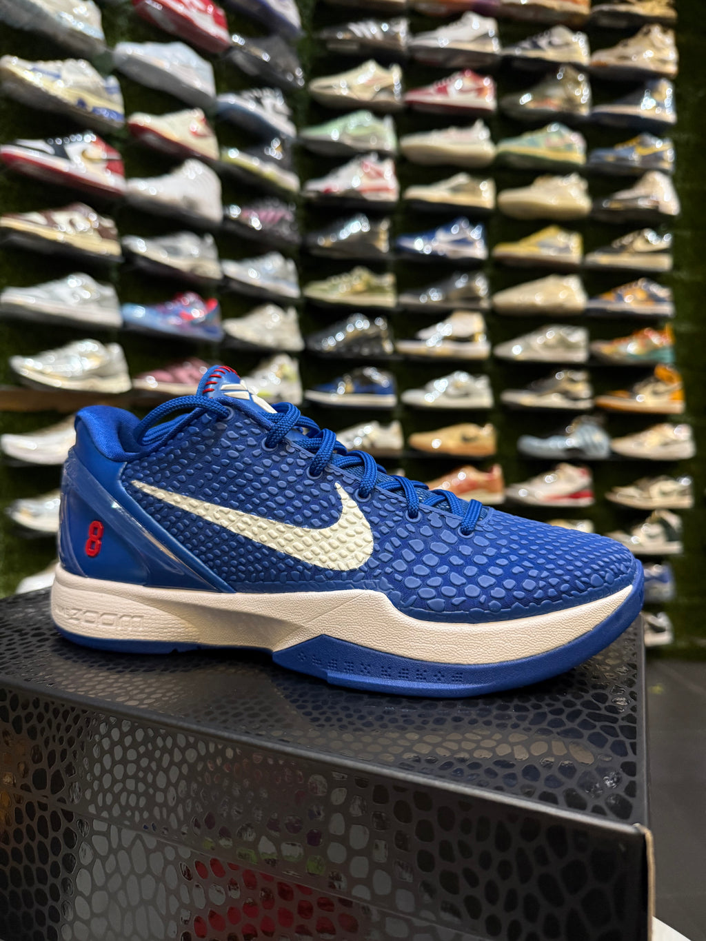 Kobe dodgers