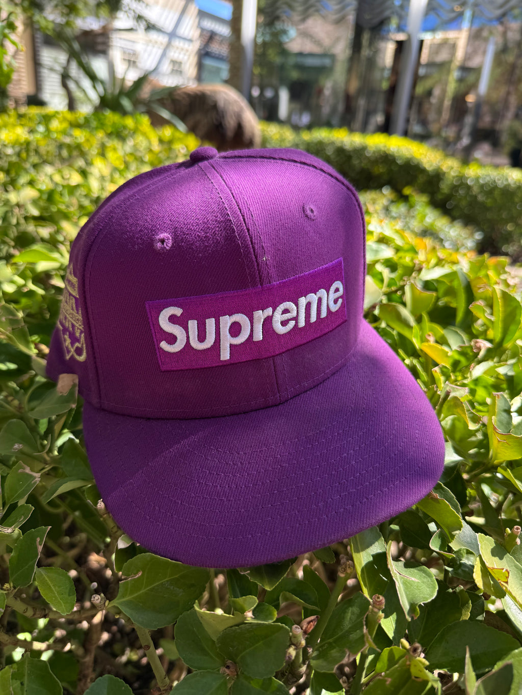 Supreme purple fitted