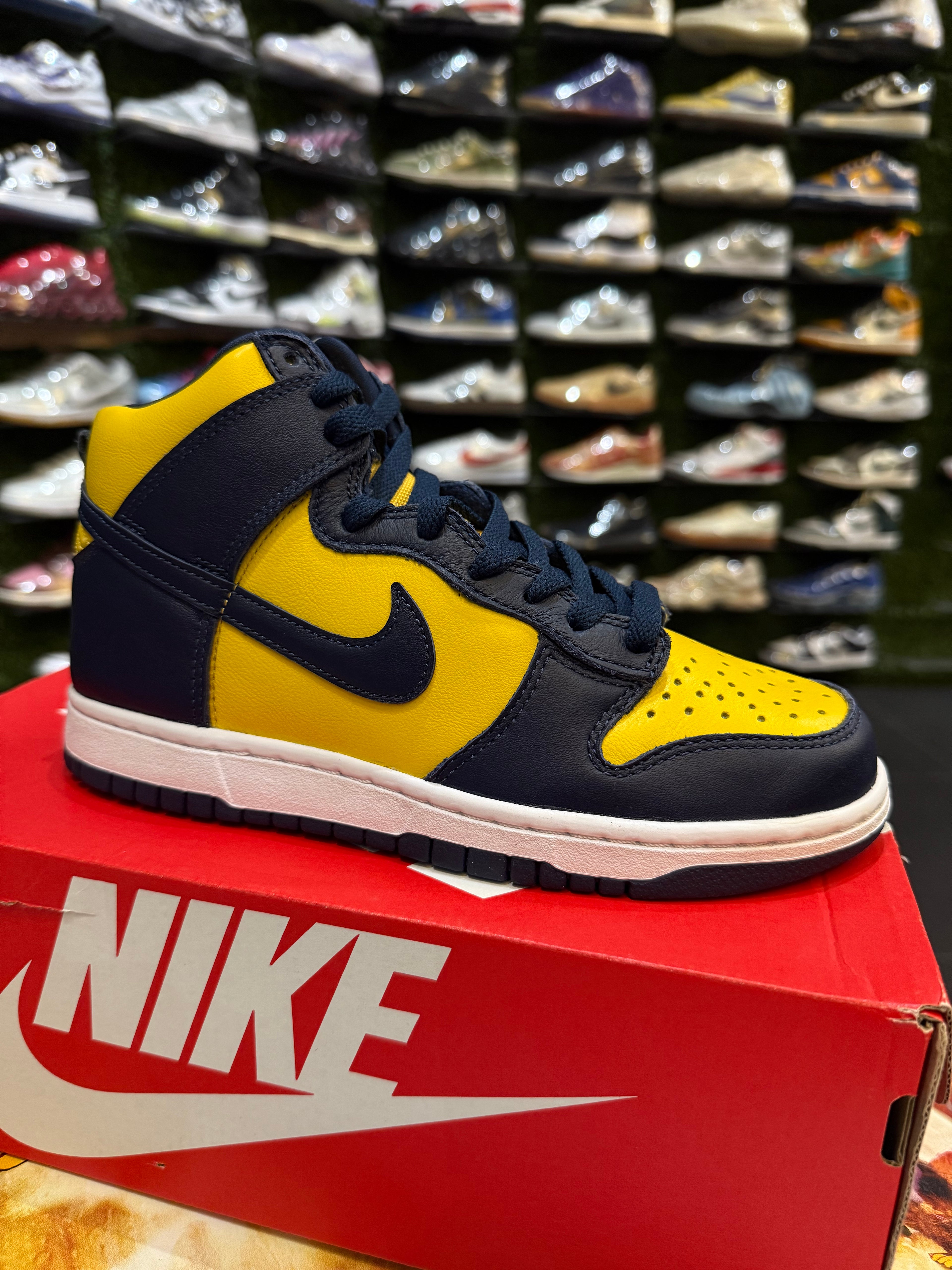 Dunk high Michigan