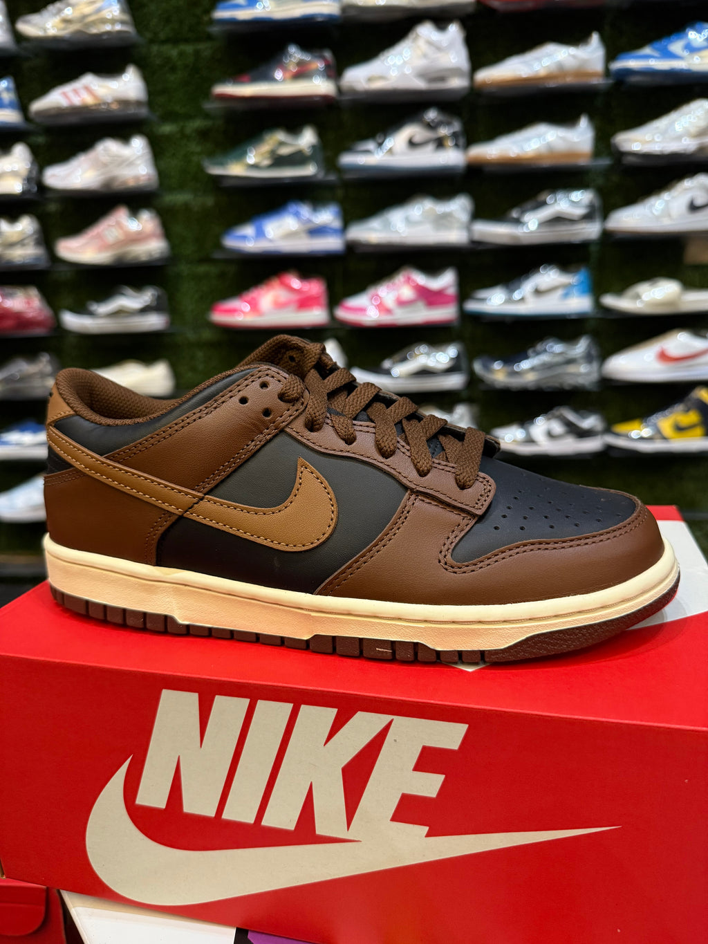 Dunk low brown