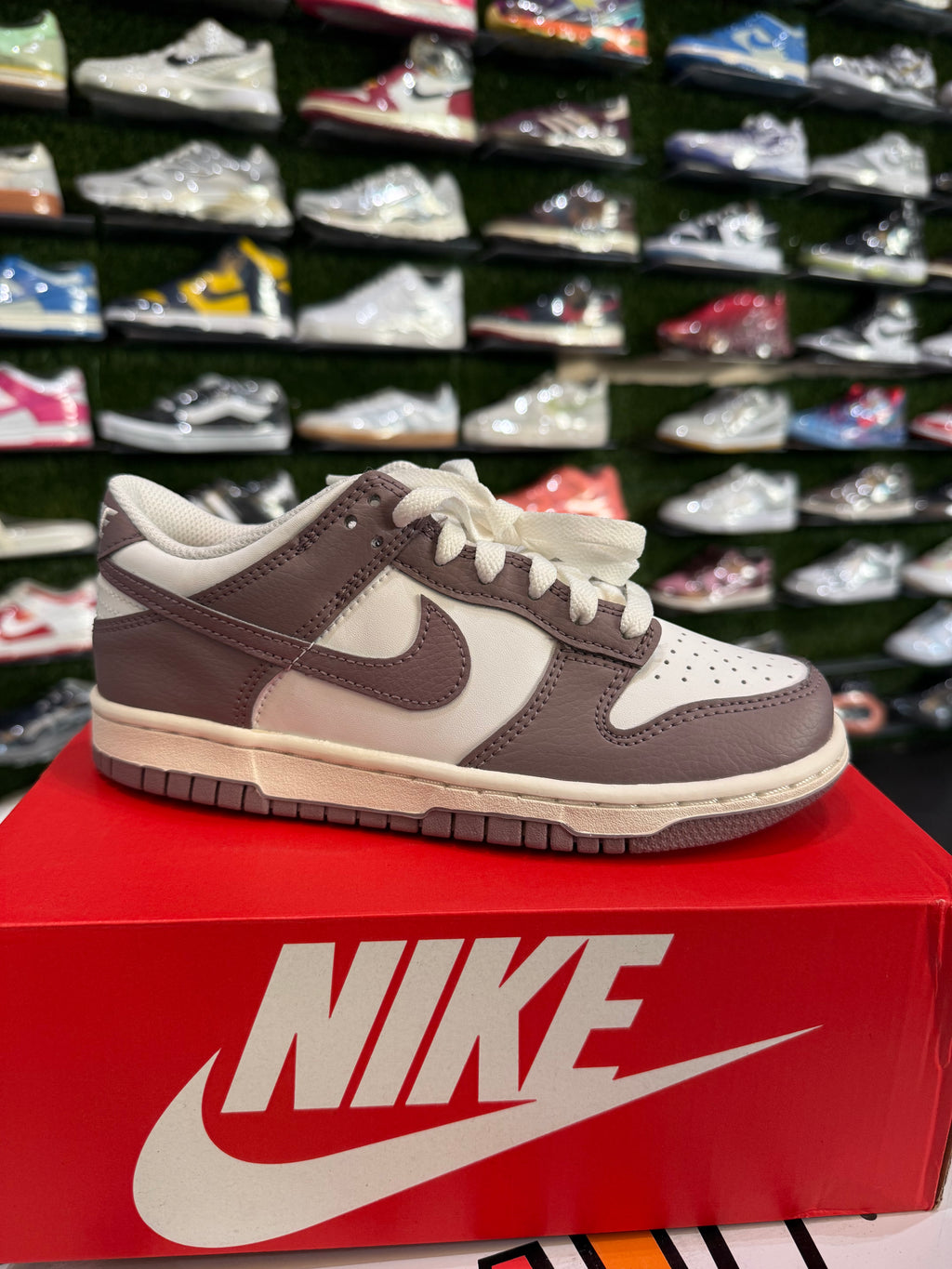 Dunk low taupe