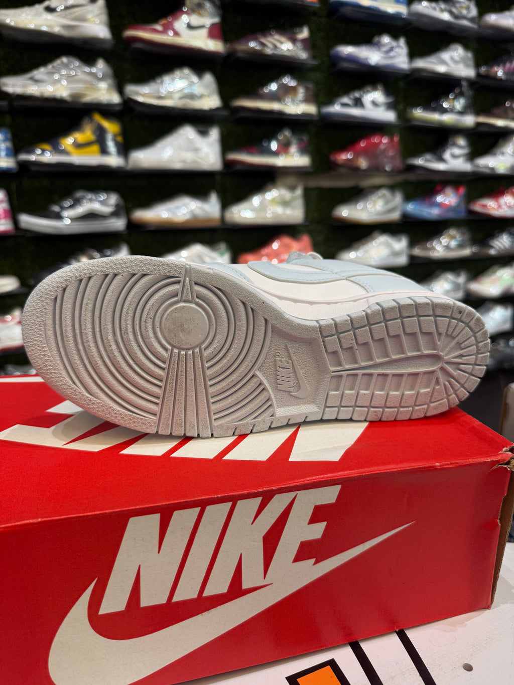Dunk low blue tint