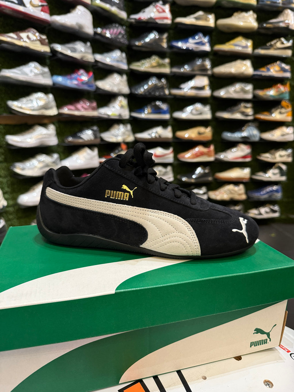Puma speed cat