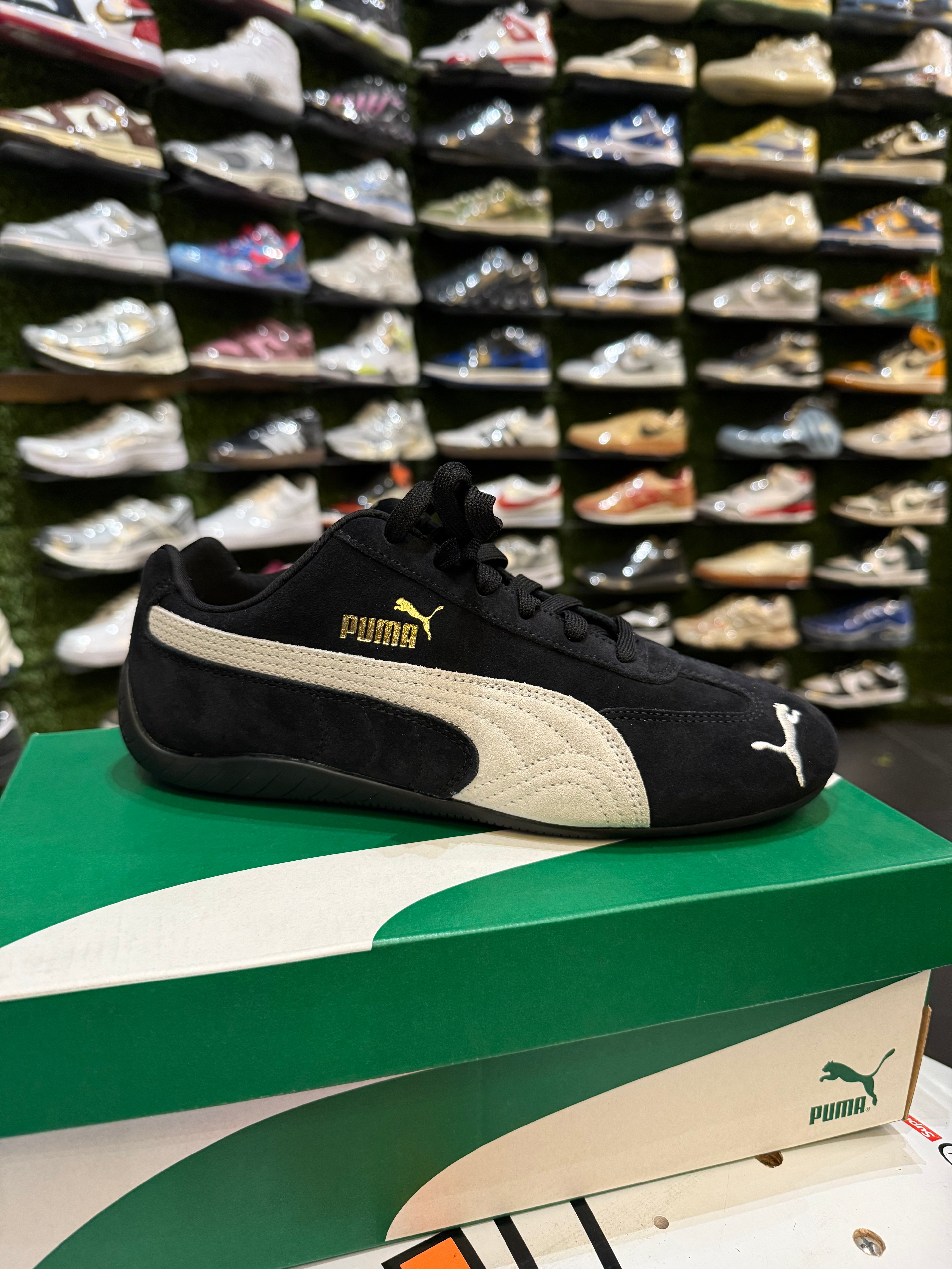Puma speed cat