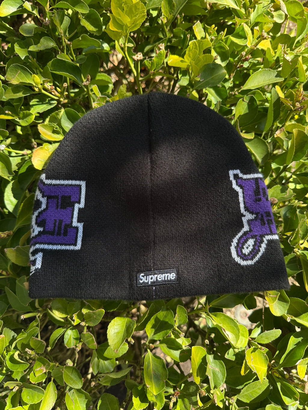 Supreme beanie