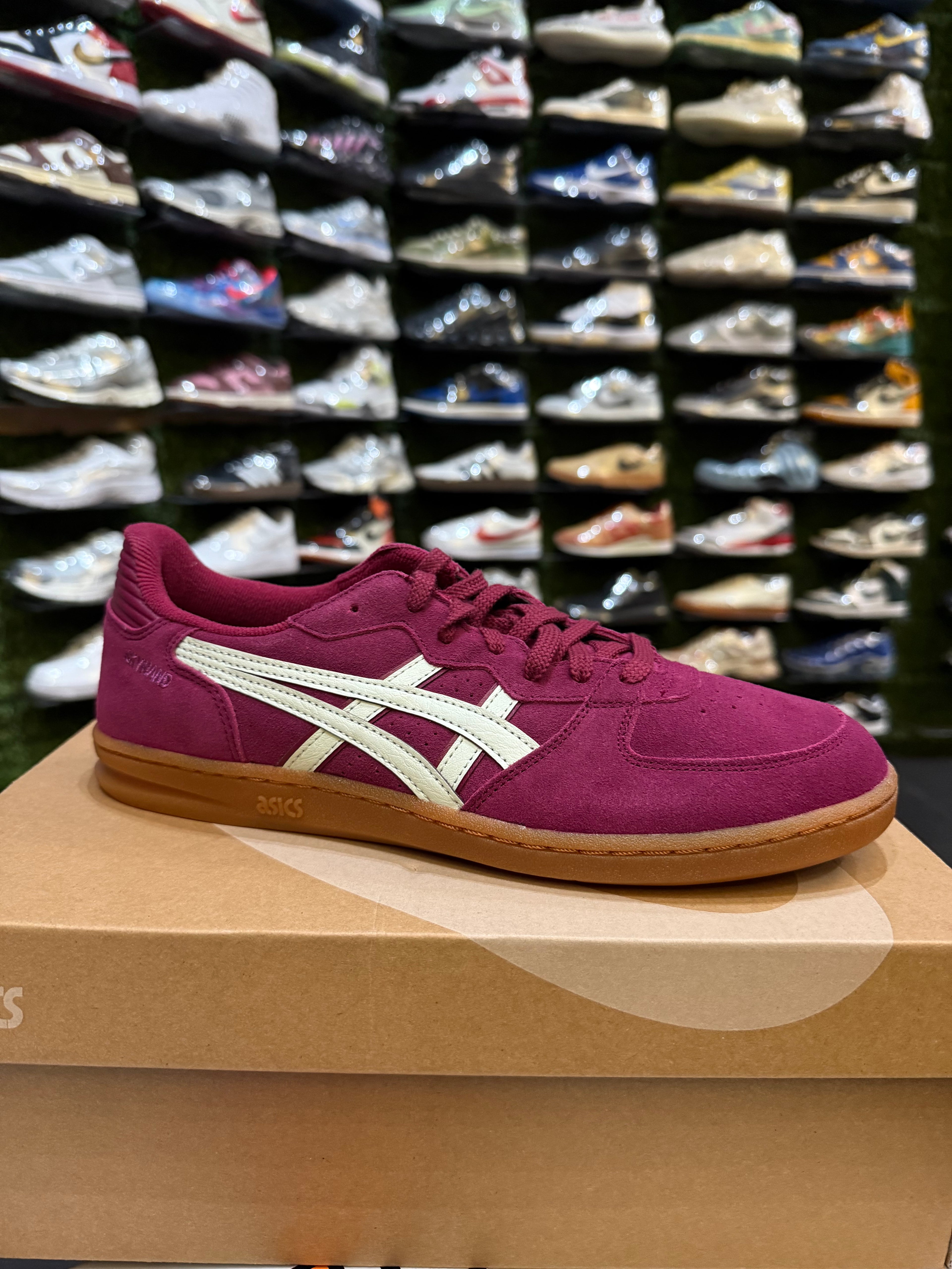 ASICS dried berry