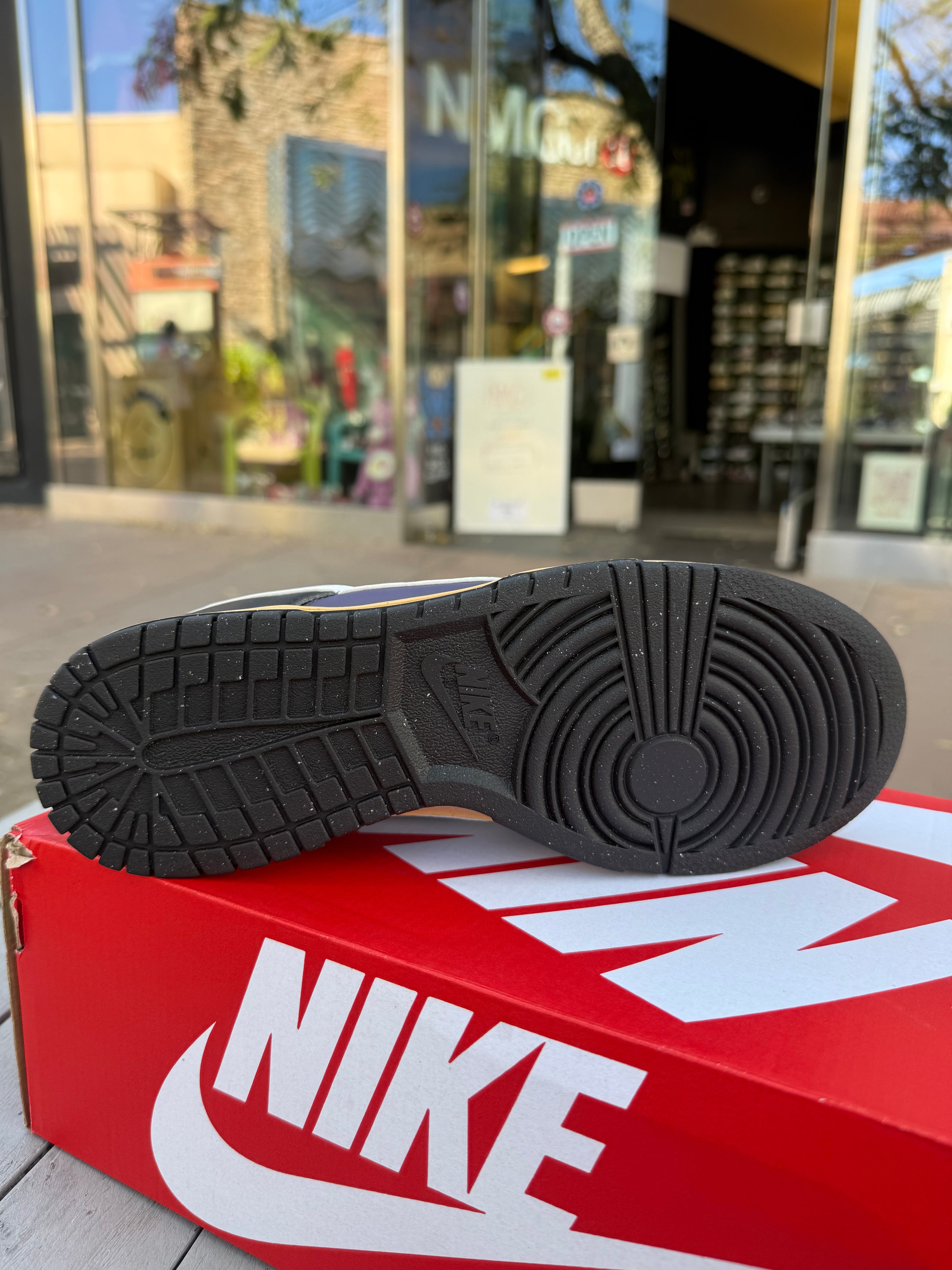 Dunk low rasin