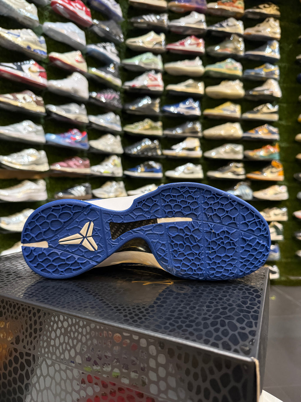 Kobe dodgers