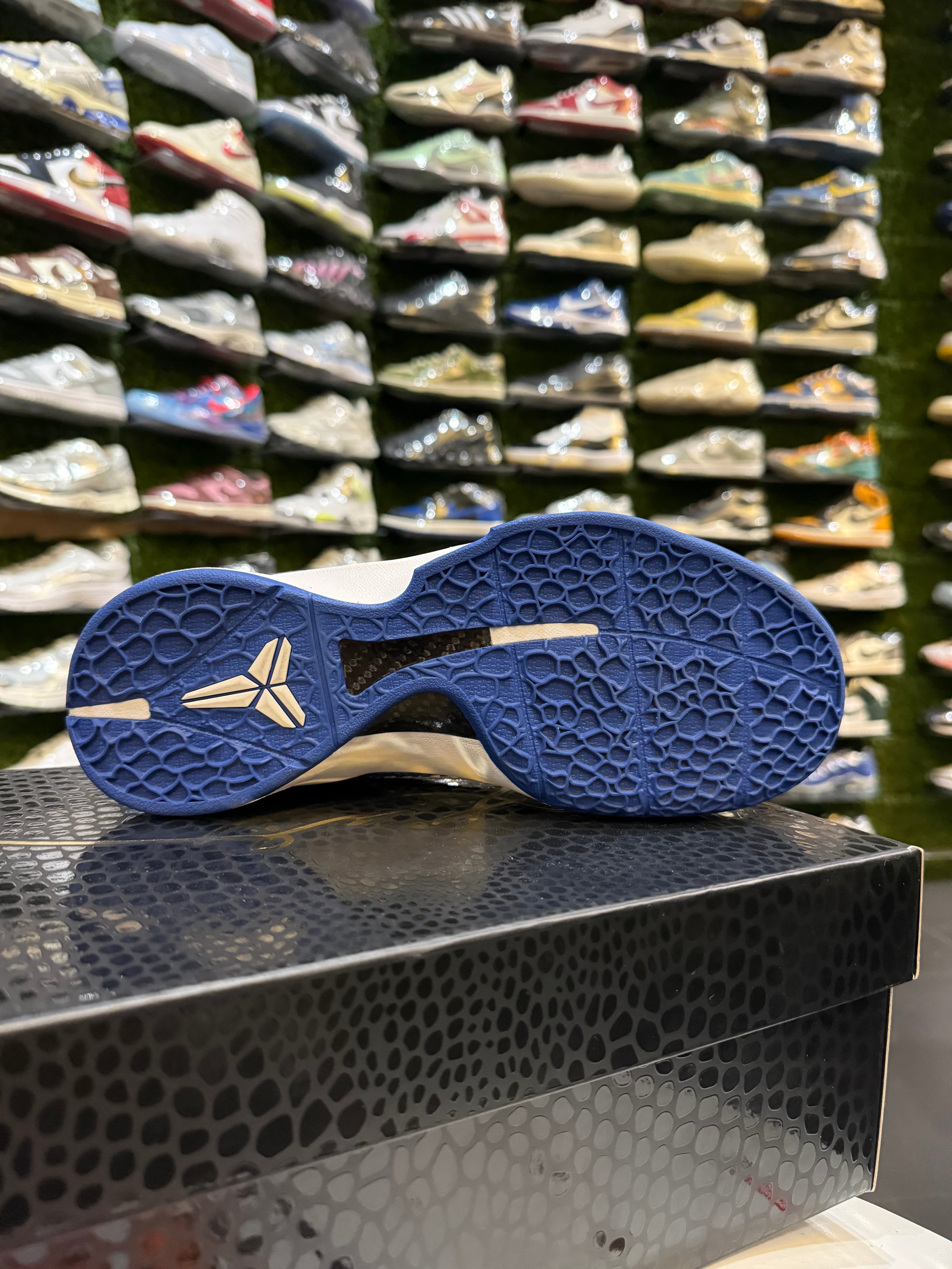 Kobe dodgers