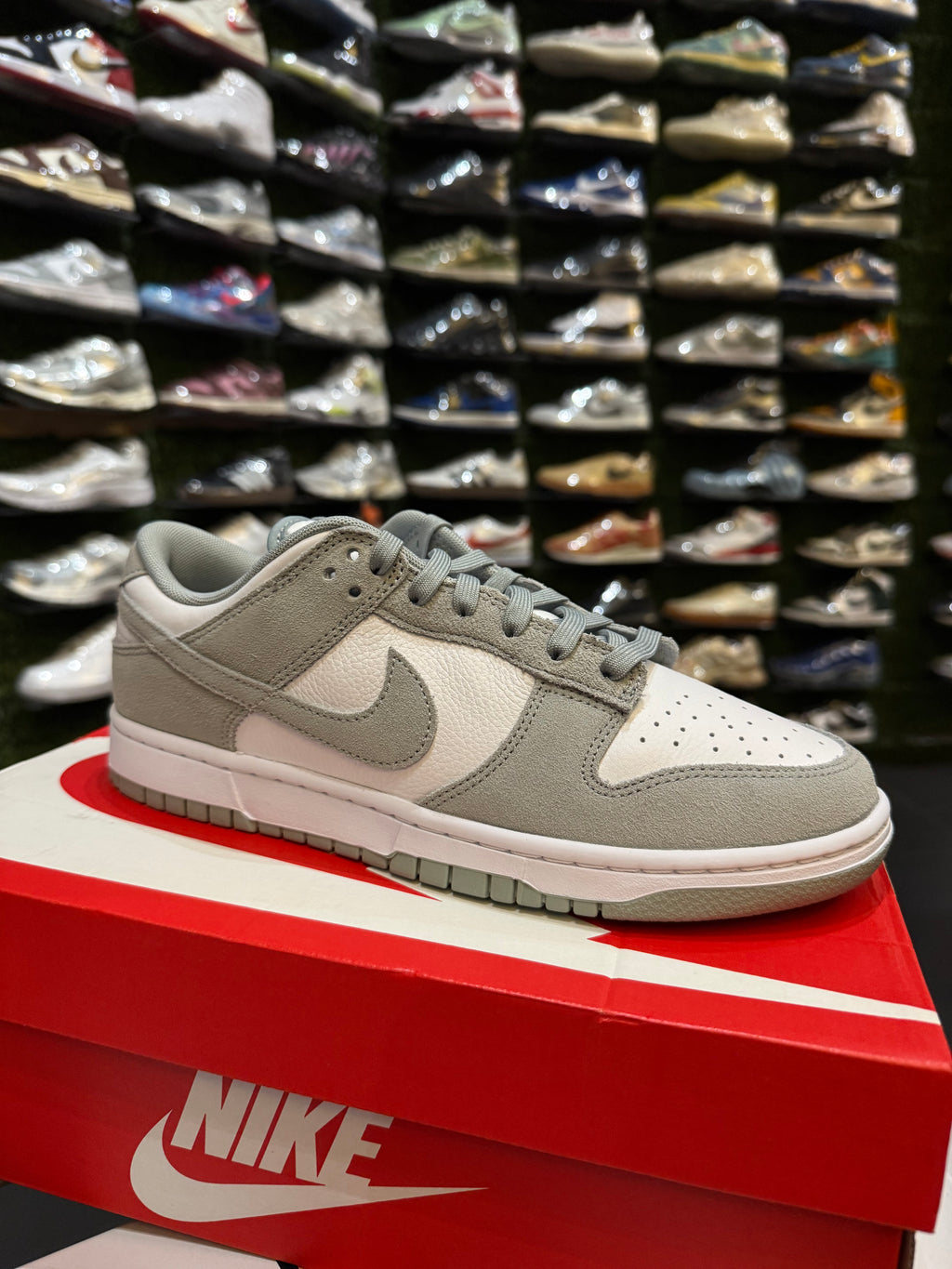Dunk low light pumice