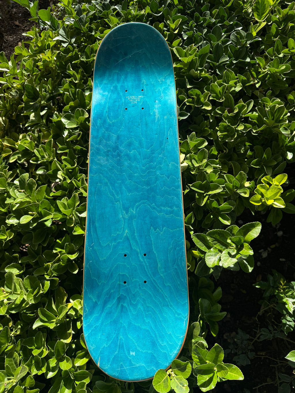 Rasaueu skateboard