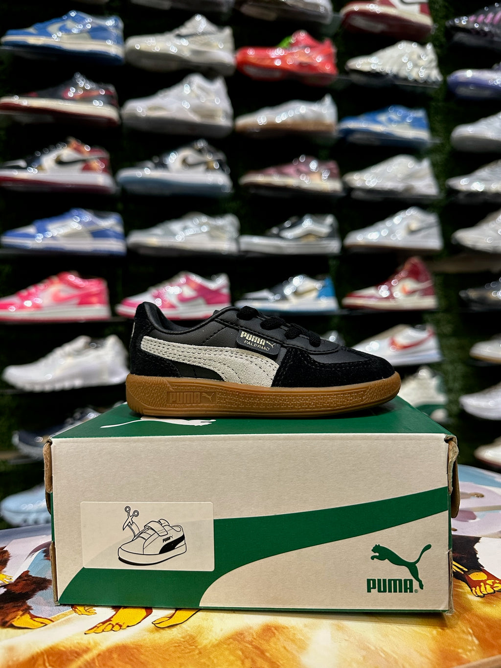 Puma palermo