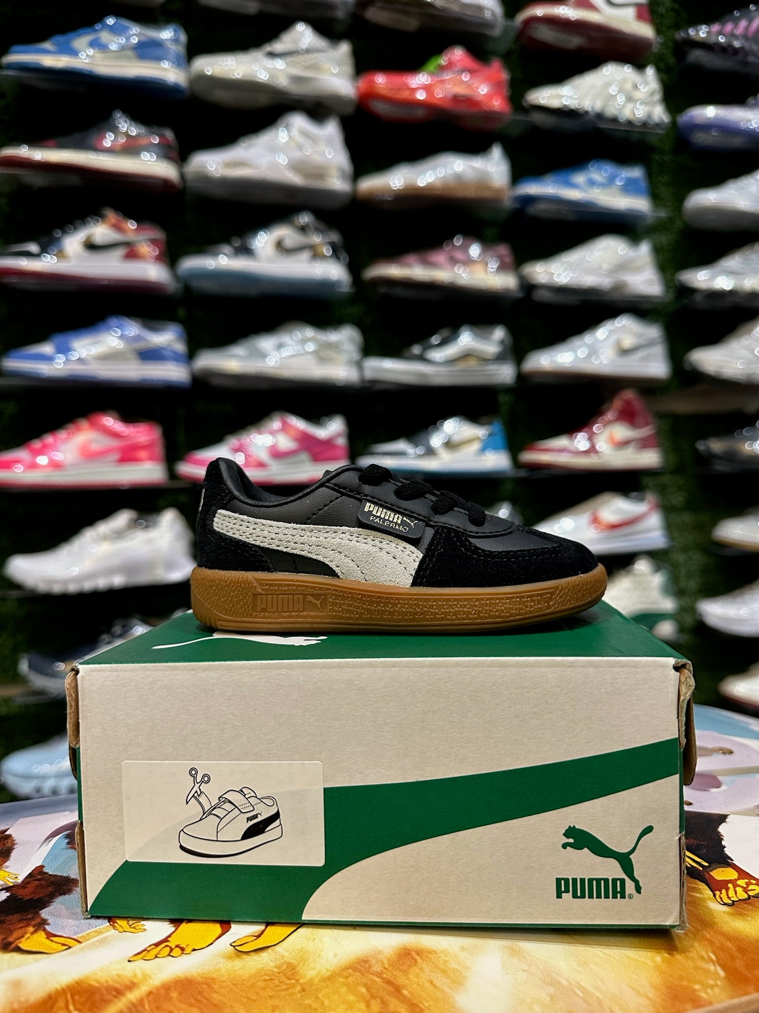 Puma palermo