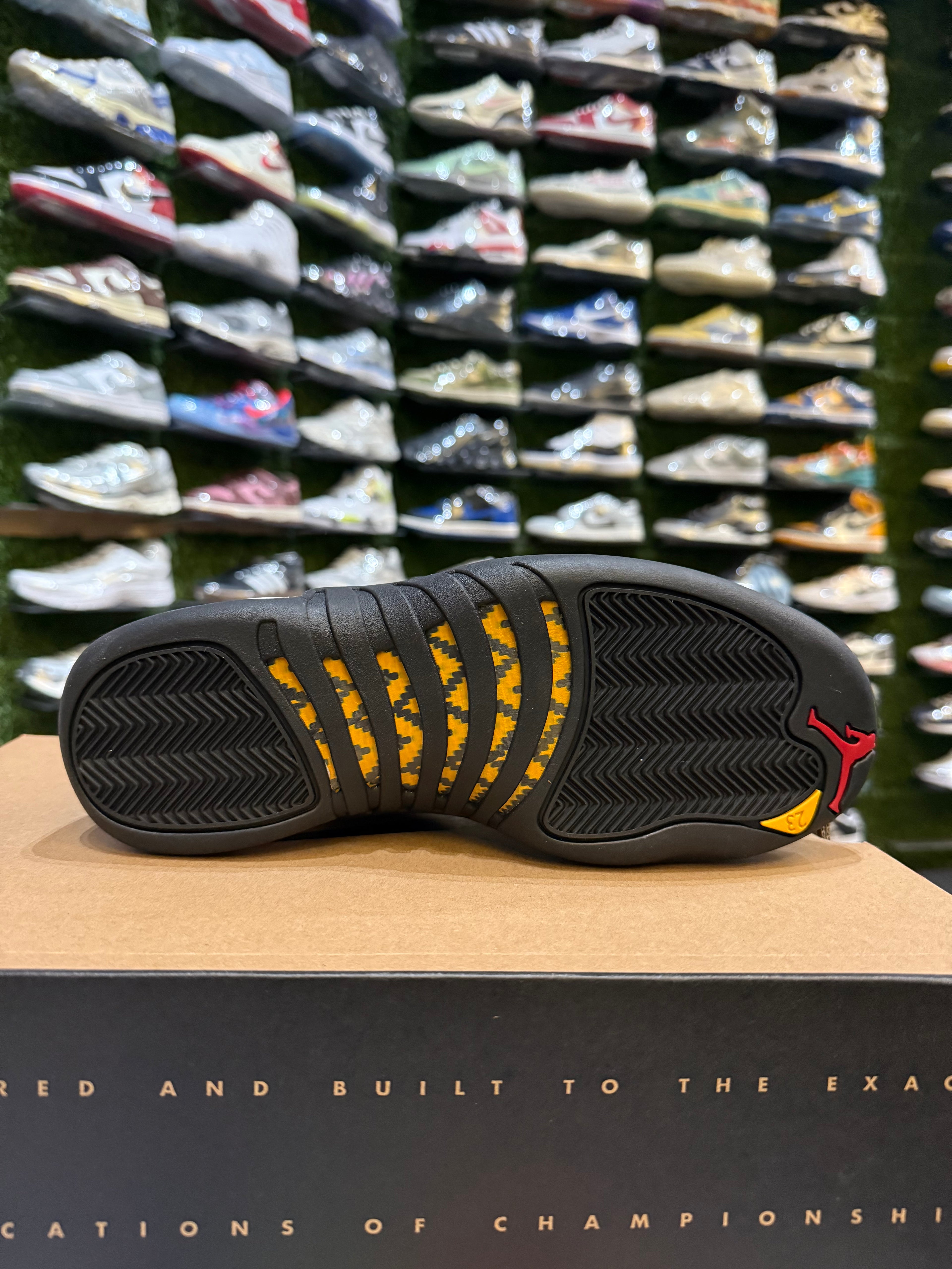 Jordan 12 taxi