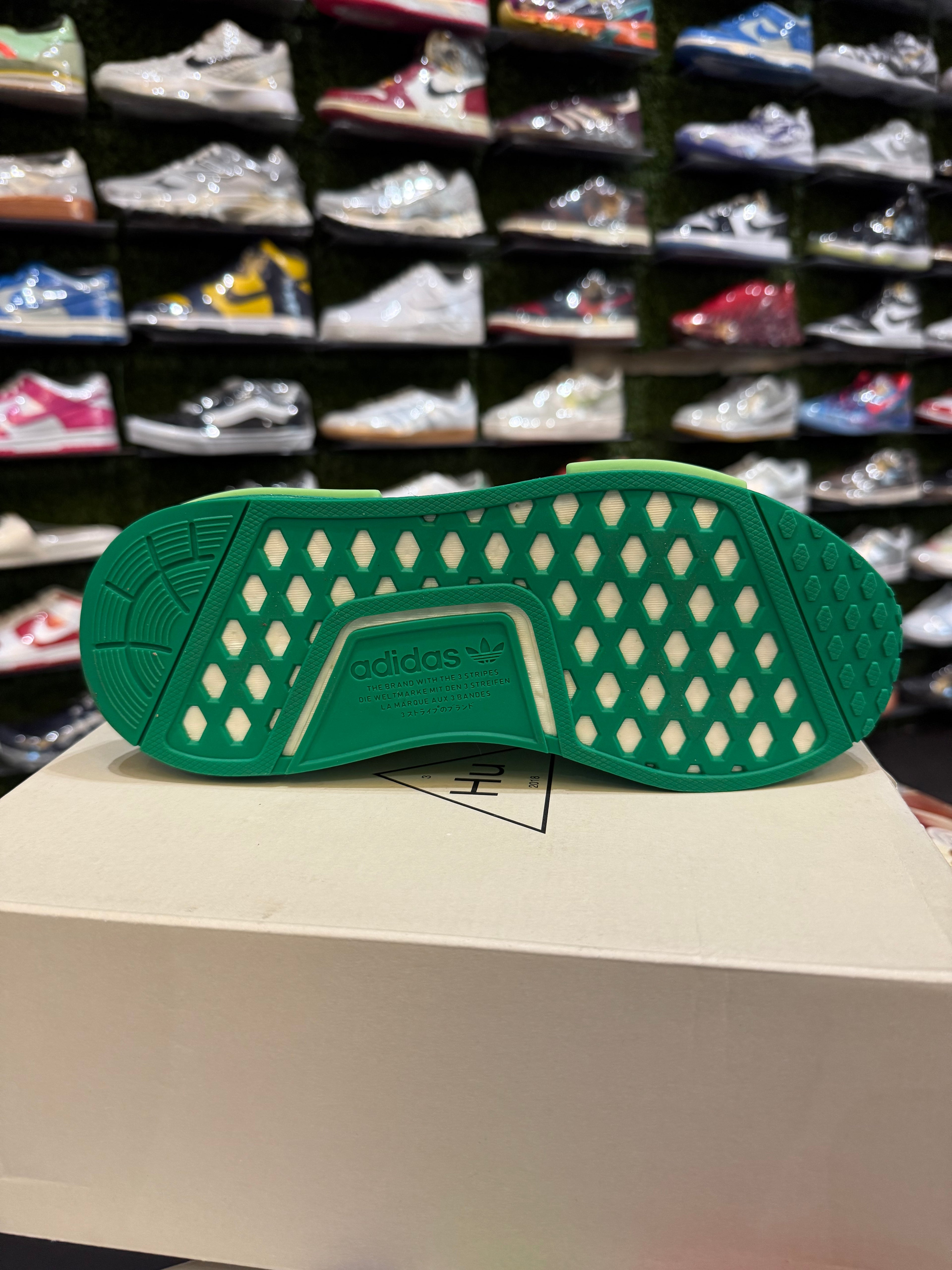 NMD Pharrell green