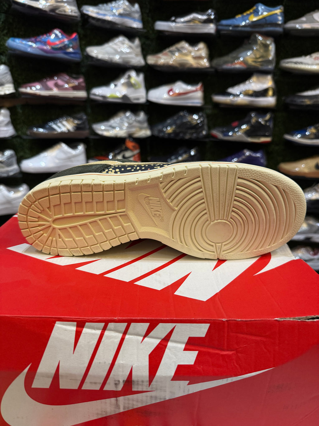 Dunk low gone fishing