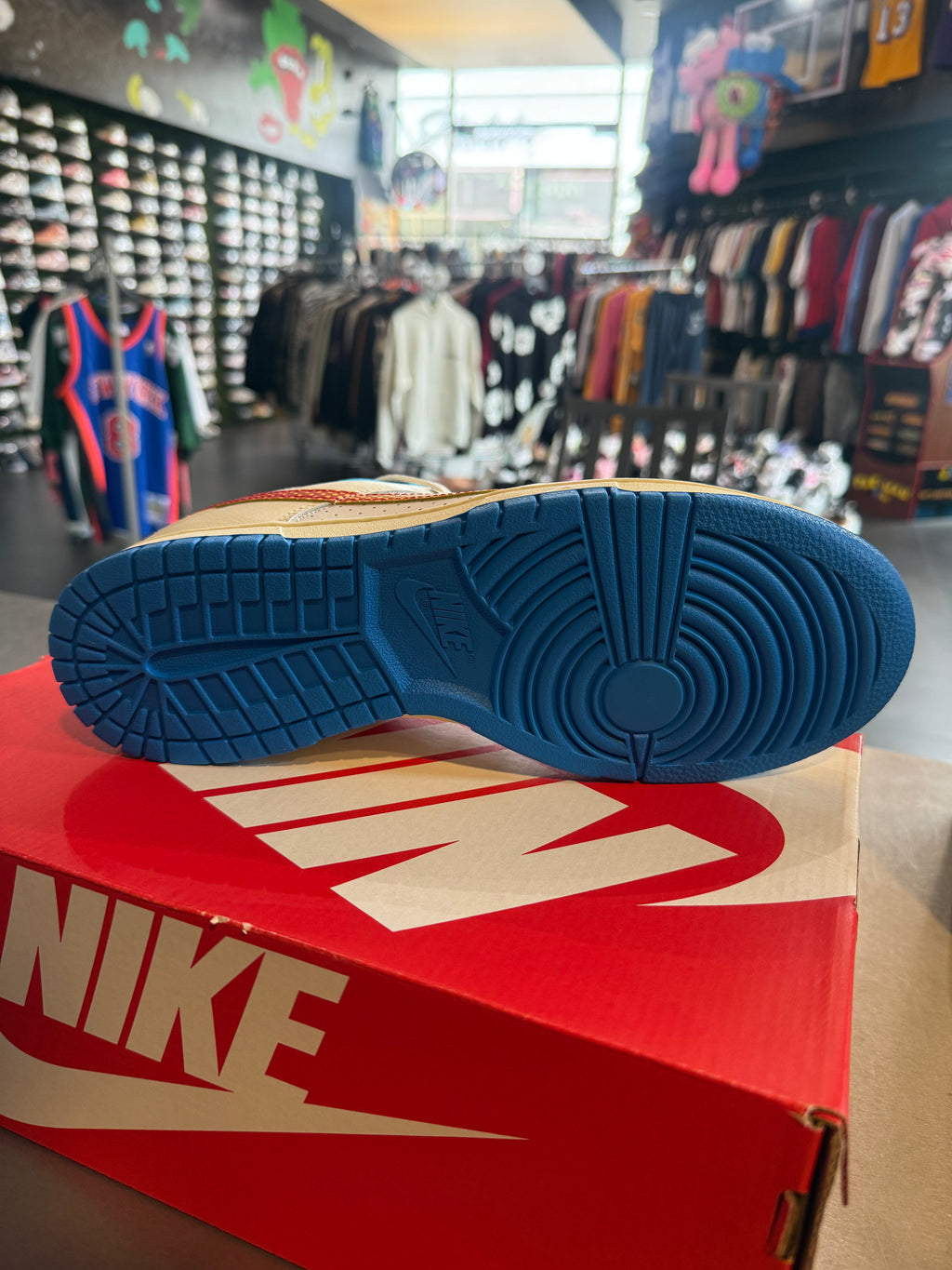 Dunk low pop art