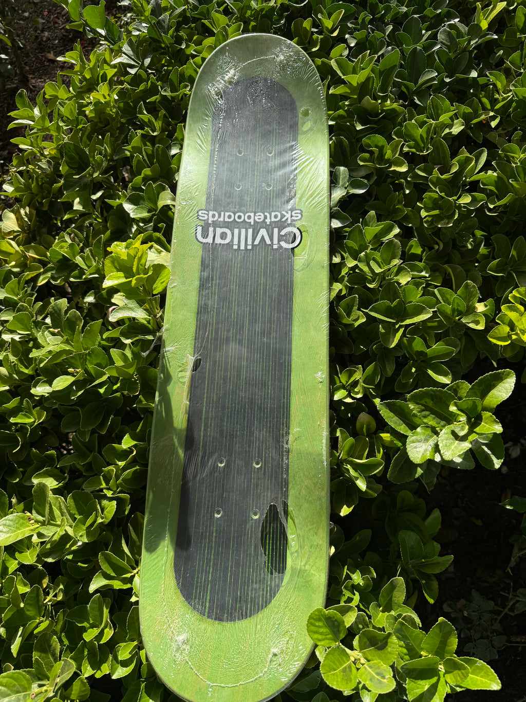 Dennis dipietrantonio skateboard