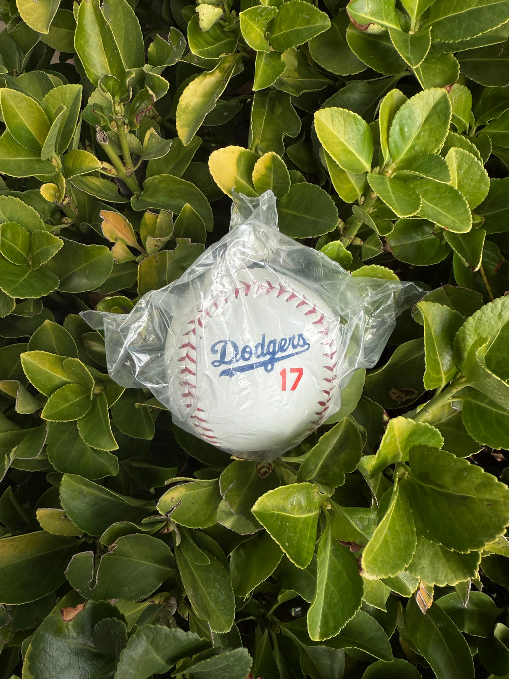 Othani dodgers baseball