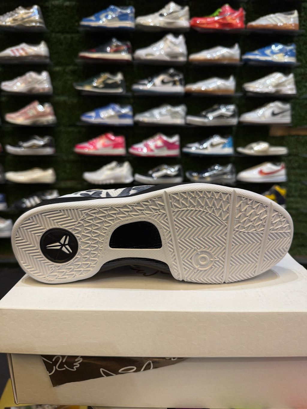 Kobe 8 Mambacita