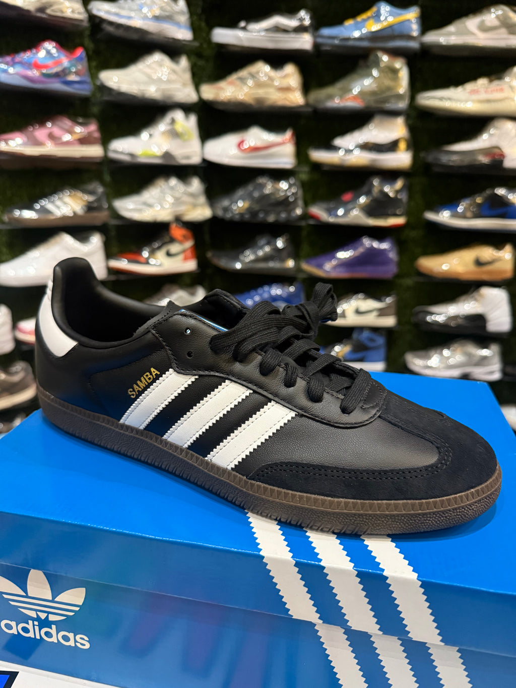 Samba black